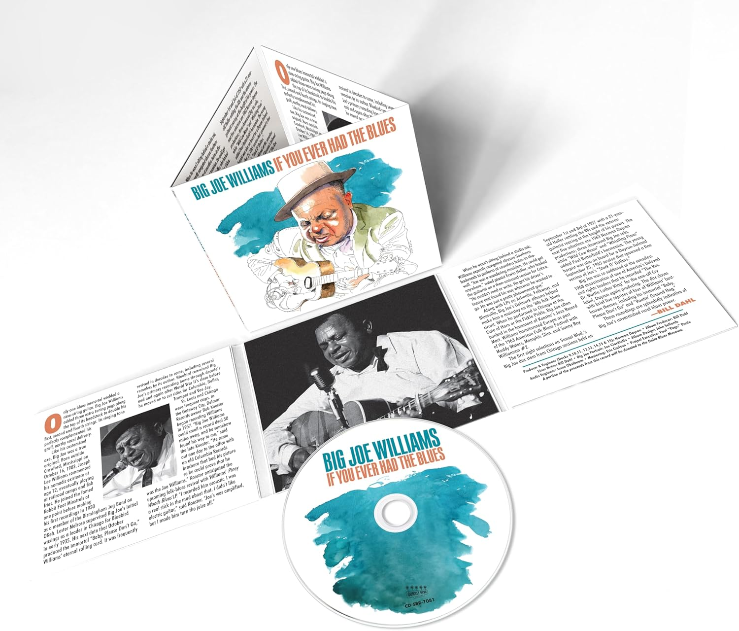 If You Ever Had the Blues