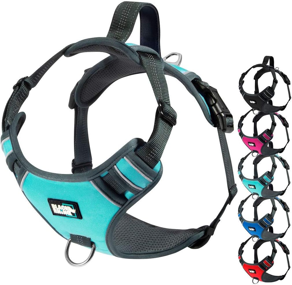 Black Rhino - the Comfort Dog Harness with Mesh Padded Vest for Small - Large Breeds | Adjustable | Reflective | 2 Leash Attachments on Chest & Back - Neoprene Padded Training Handle (Medium, Pink/Bl)