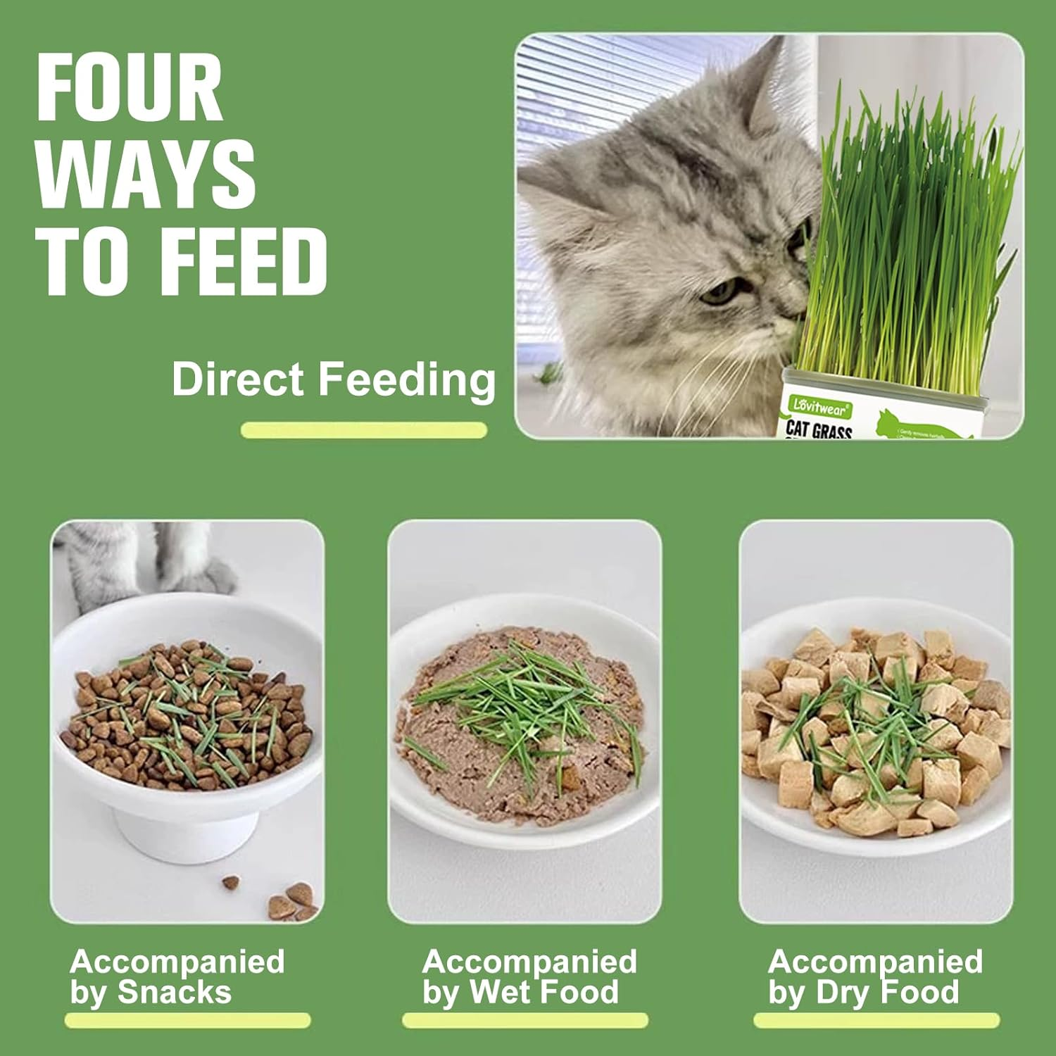 Premium Cat Grass Growing Kit - 4-Pack, Easy Planting for a Natural Treat for Cats and Other Pets image number 3