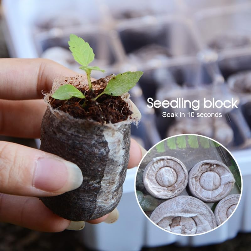 Tootoo 10 Set 12 Hole Plant Seed Grow Box Propagation Nursery Seedling Starter Tray image number 1