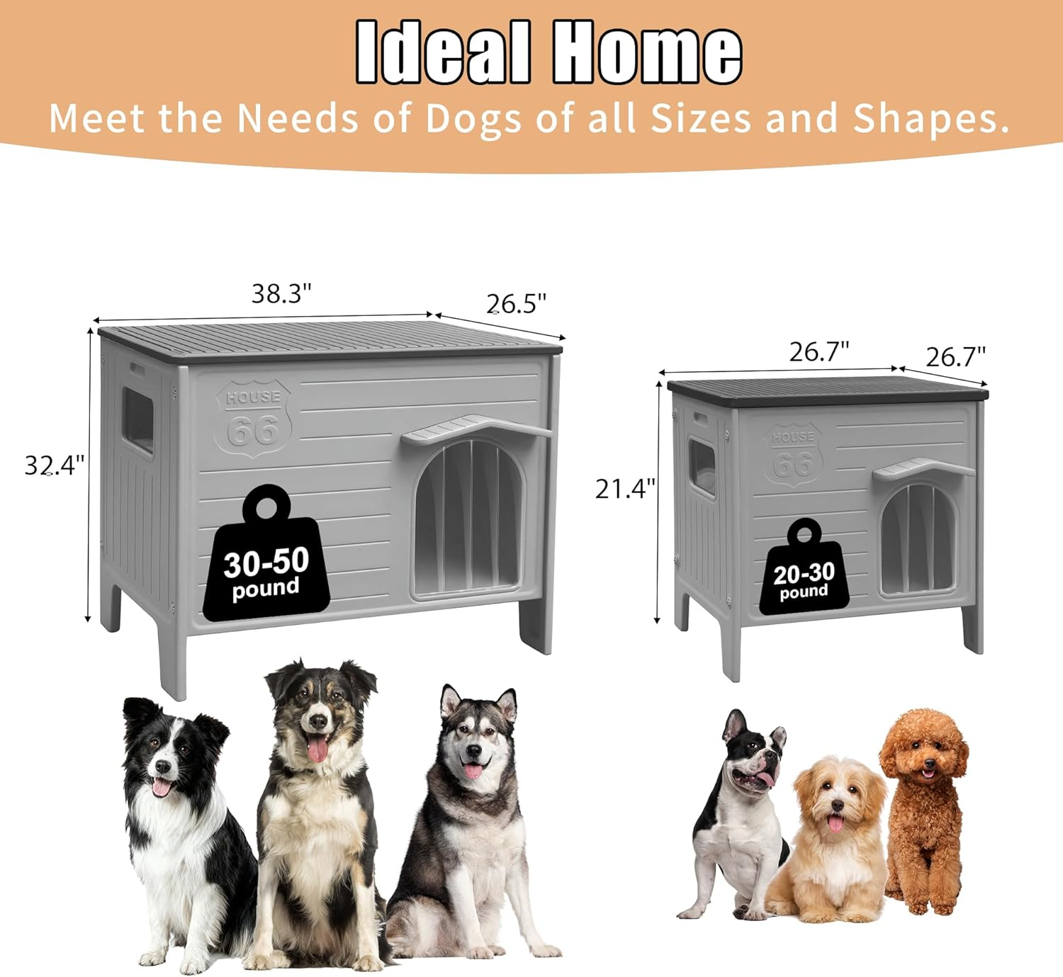 Dog House image number 4