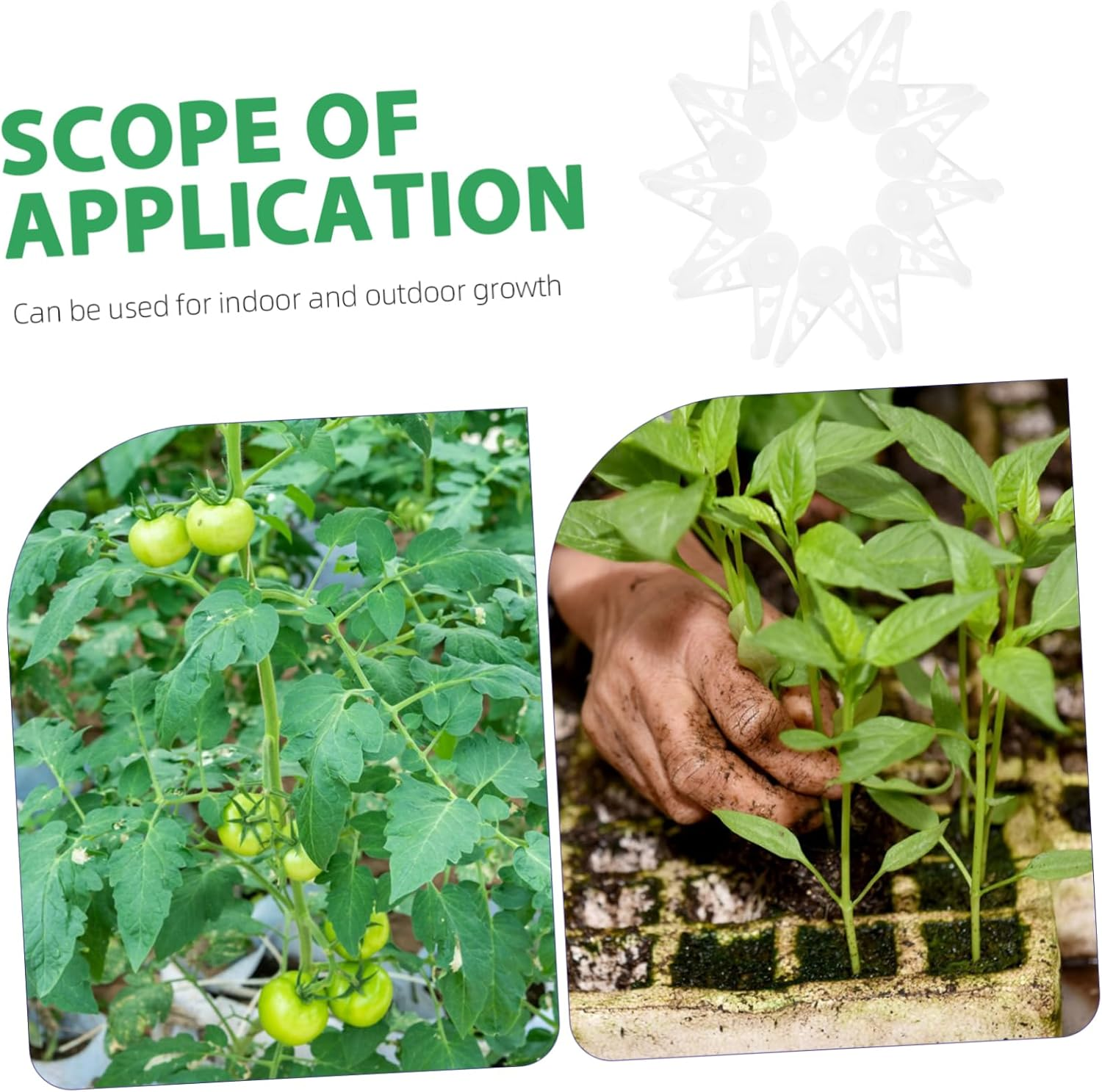 CIYODO 30Pcs Stem Bending Tool for Plant Training Plant Clips Stem Training Clips for Gardening image number 2