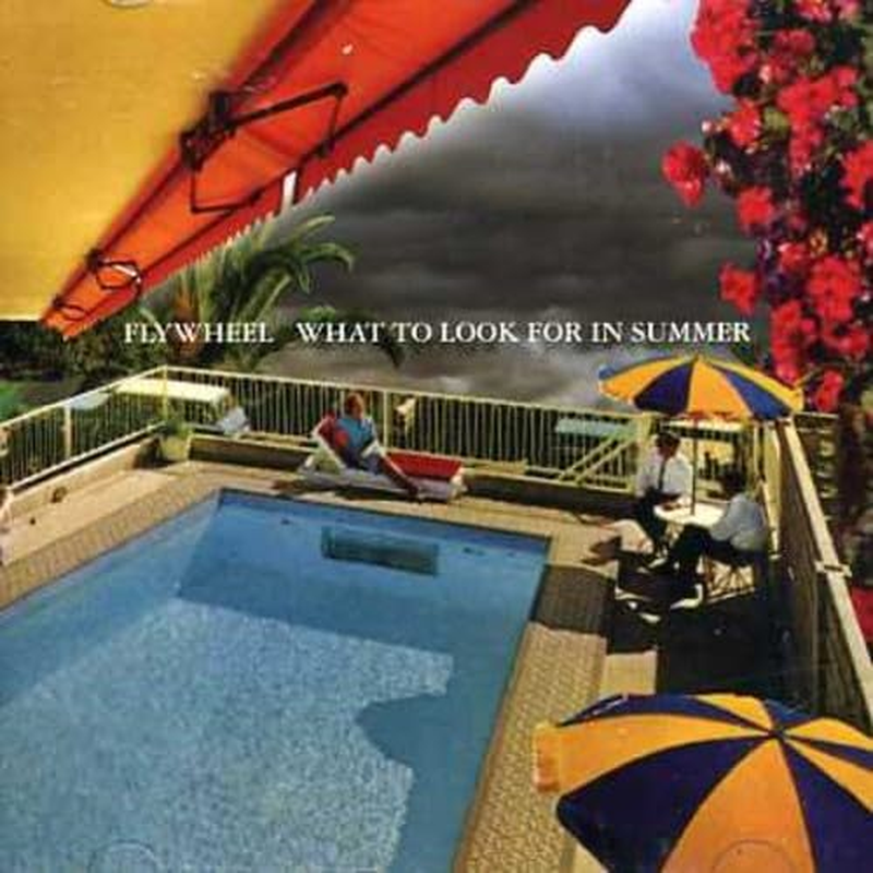 What to Look for in Summer