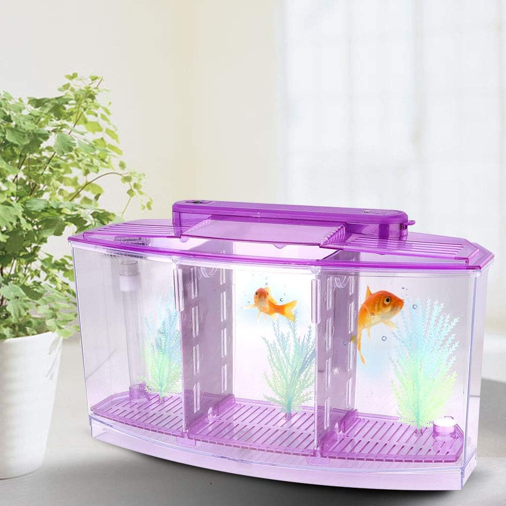 Three Areas Small Aquarium, Transparent Fish Tank, Desktop with Water Change Valve with LED Light for Betta Small Fishes(Purple 11X3.9X5.9In) image number 3