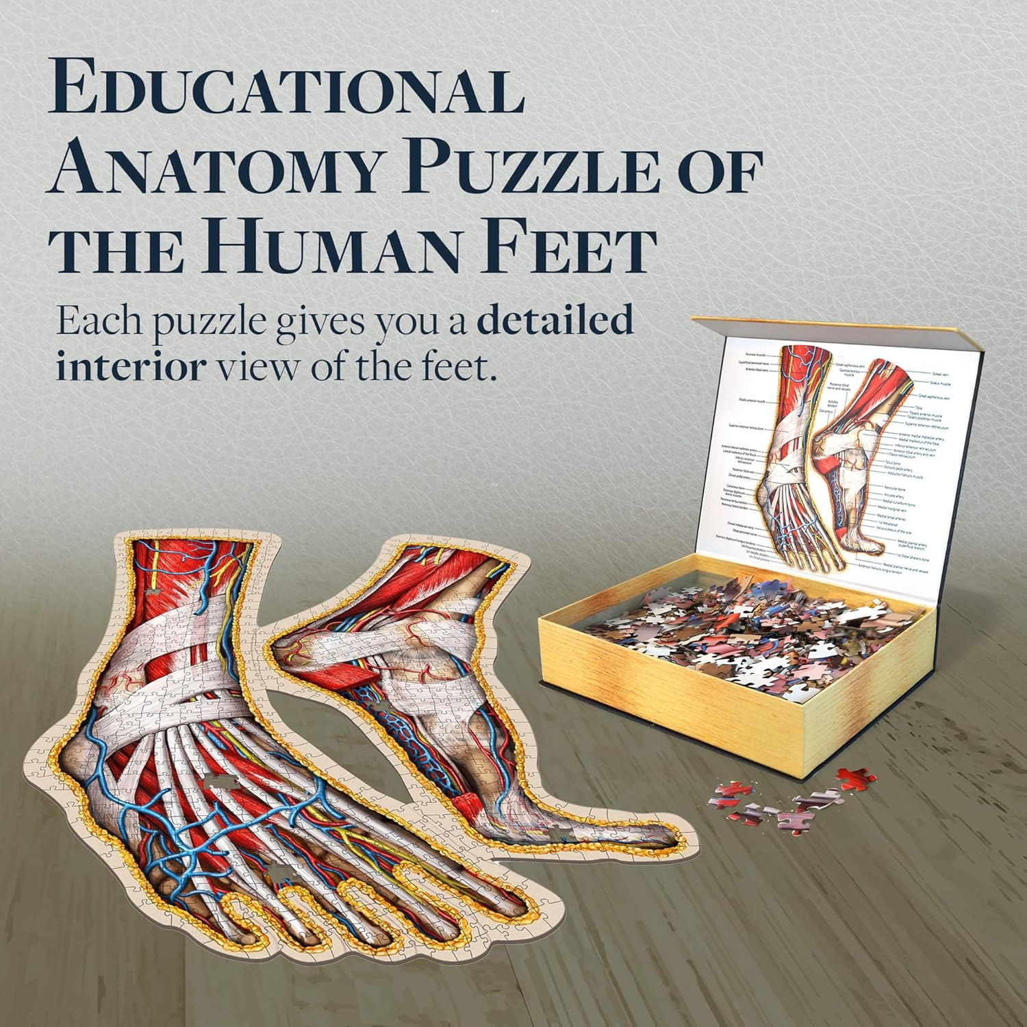 Human Feet Anatomical Floor Puzzle - Unique Adult Anatomy Jigsaw Puzzles - Medical Toy for Kids - Gifts for Doctors, Nurses, Teen - Educational Science Puzzles - Genius Games Dr. Livingston image number 6