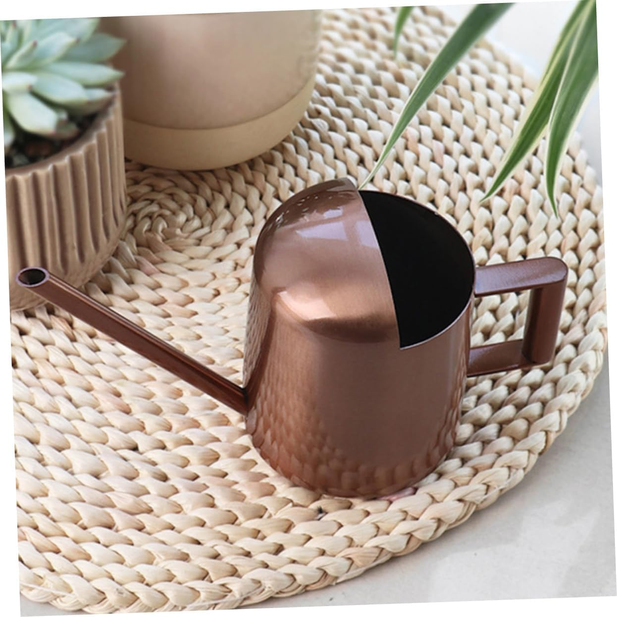 Stainless Steel Watering Pot Long Tip Small Gardening Watering Can for Plant image number 2