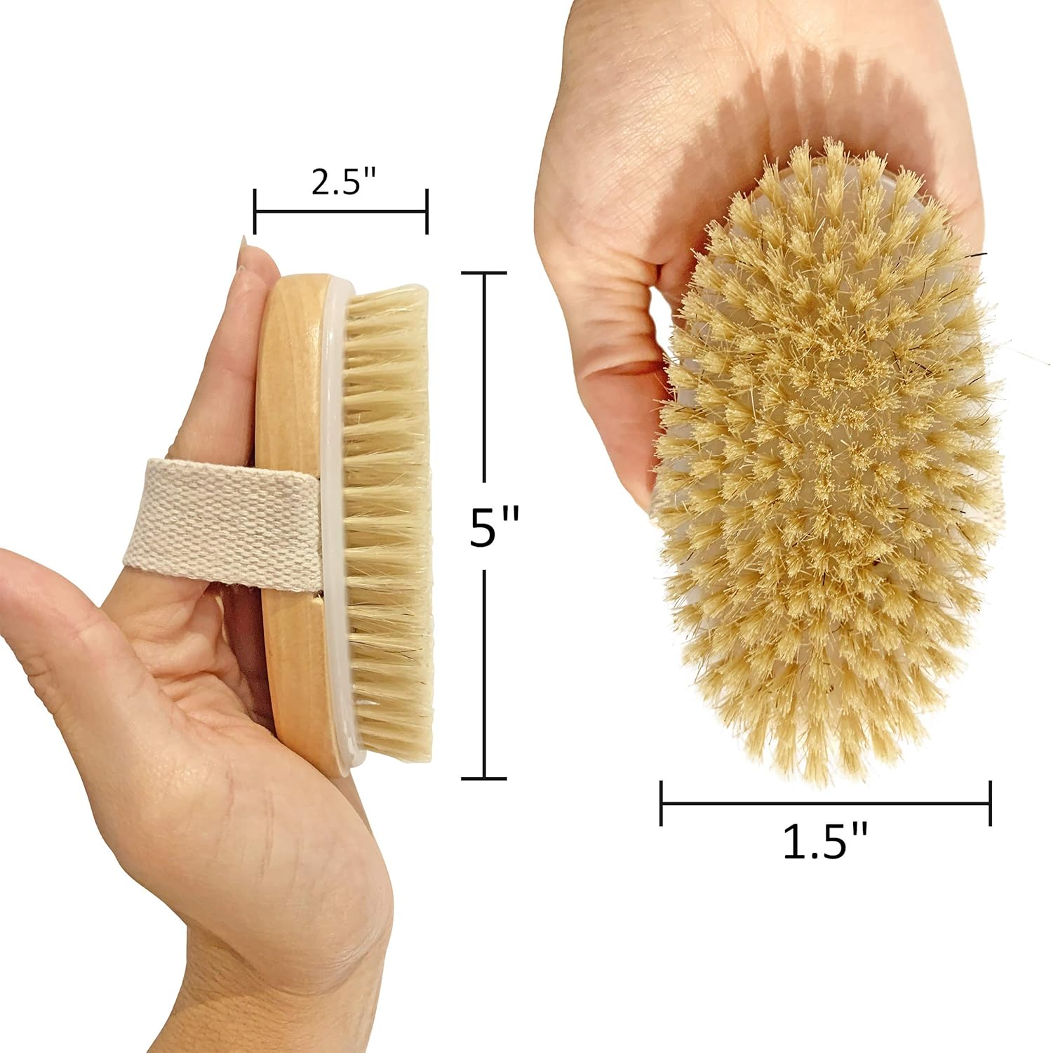 Wet and Dry Body Brush Exfoliator - Medium Soft Natural Bristle - Exfoliates Dead Skin - Slows Aging - Reduces Cellulite - Stimulates Lymph and Blood Flow and Increases Energy image number 5