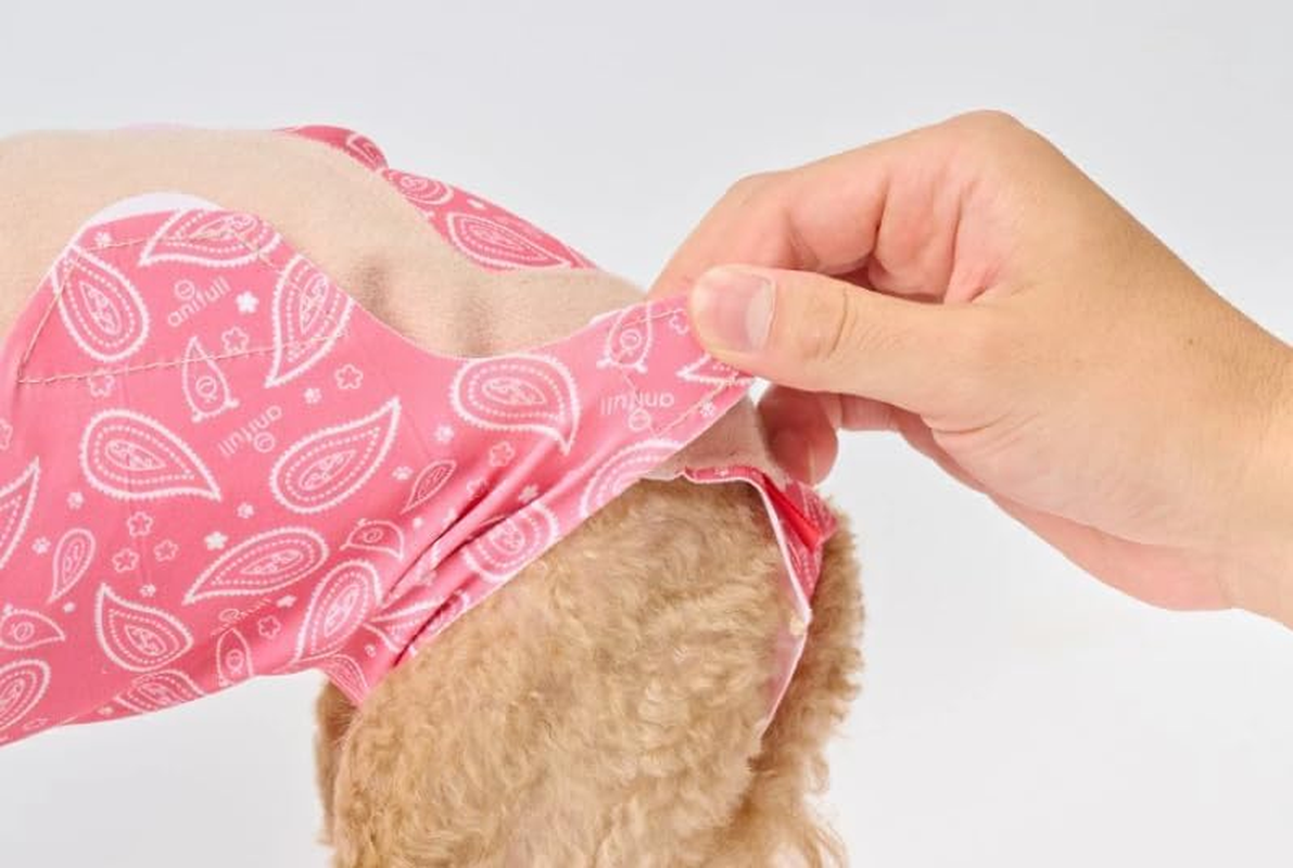 Anifull Scratching Apron for Dogs, Paisley Red Dog Small image number 2