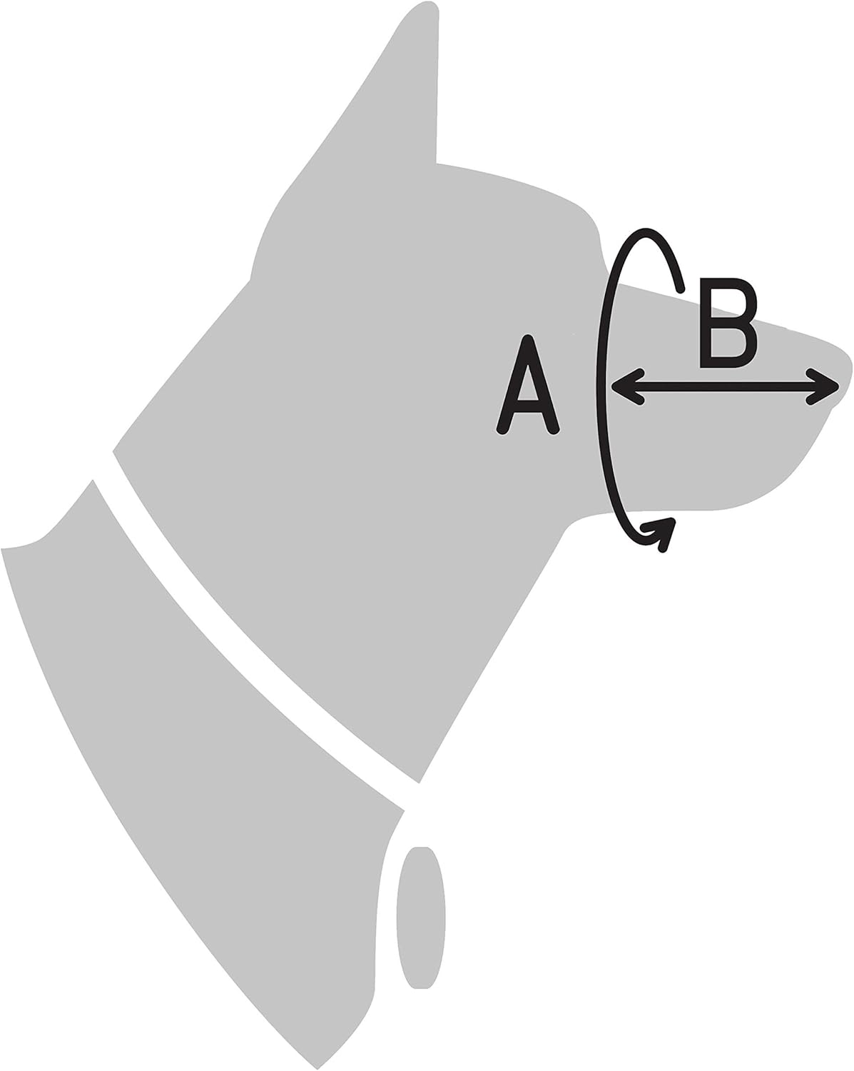 Collardirect Dog Muzzle German Shepherd Dalmatian Doberman Setter Leather Basket Medium Large Breeds Black Brown (Brown, Large) image number 3