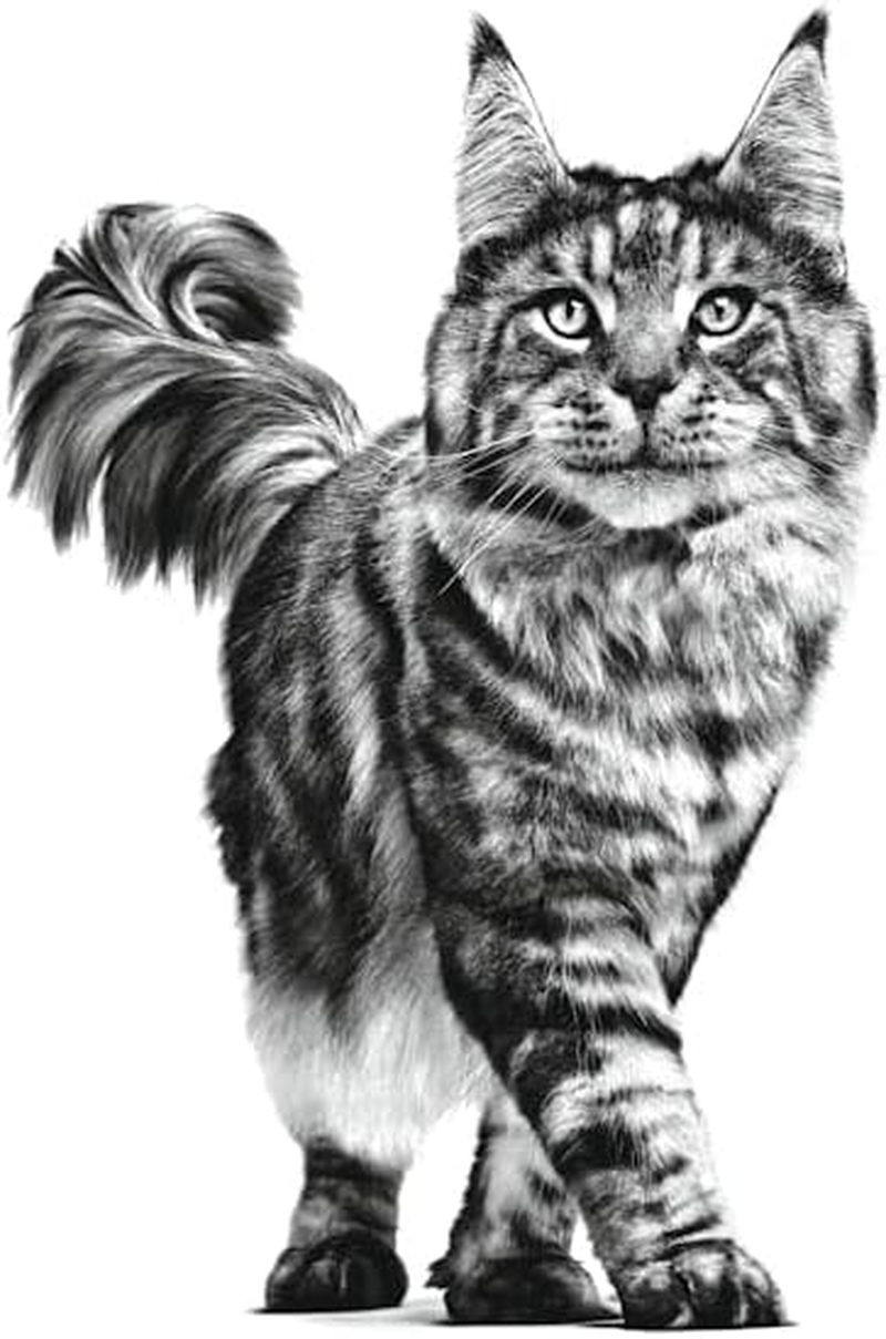 Royal Canin Feline EARLY RENAL 1.5Kg (Stage 2)