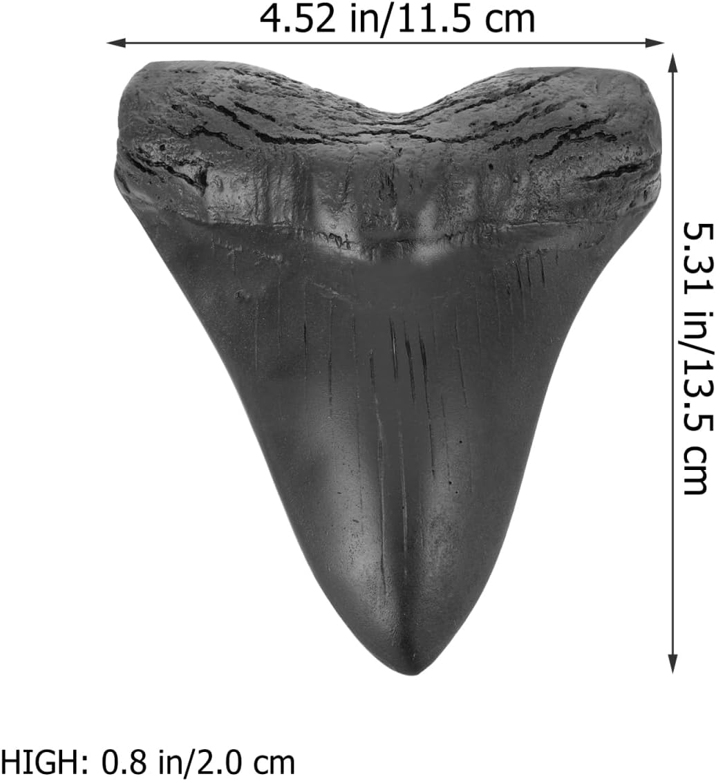 STOBAZA Megalodon Teeth Realistic Giant Shark Tooth Model Resin Collectible for Home Office Paleontological Decor 5.31X4.53X0.79In image number 3