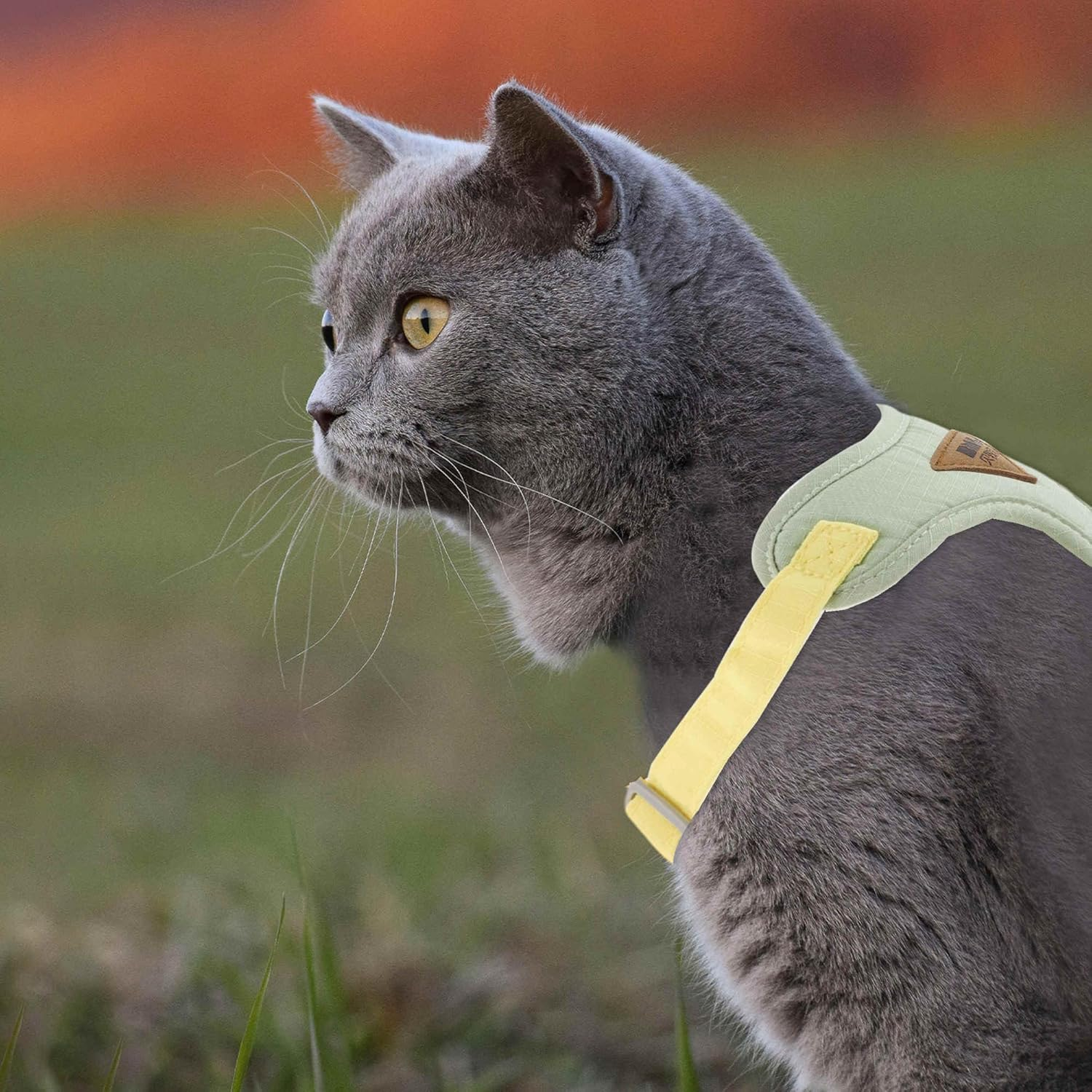 CAPASTEC Soft Cat Harness and Leash Set, Breathable Kitten Harness, Green, S image number 5