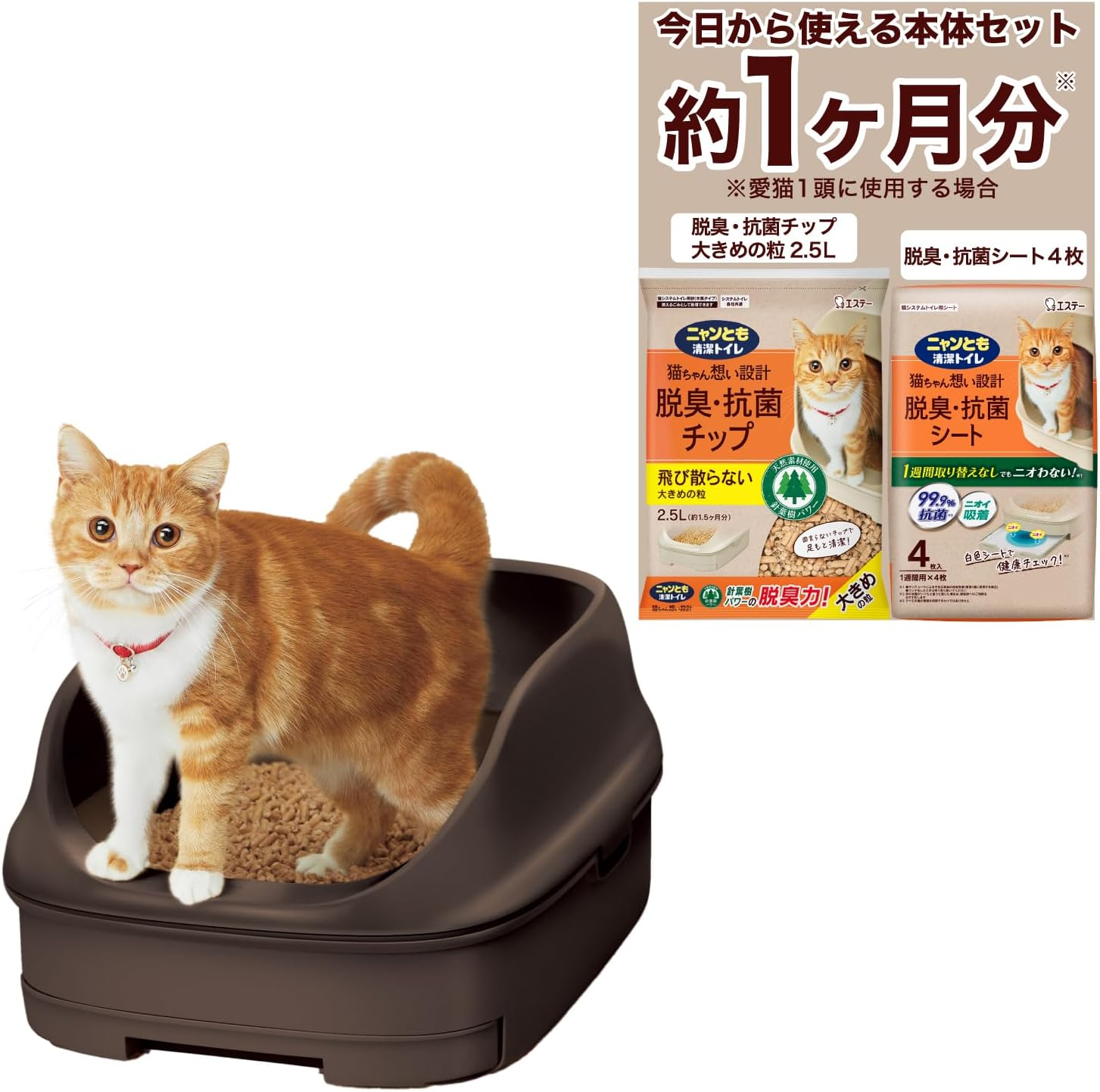 Nyan Tomo Clean Toilet Set [About 1 Month Supply with Chip and Seat] Cat Toilet Body Open Type, Brown