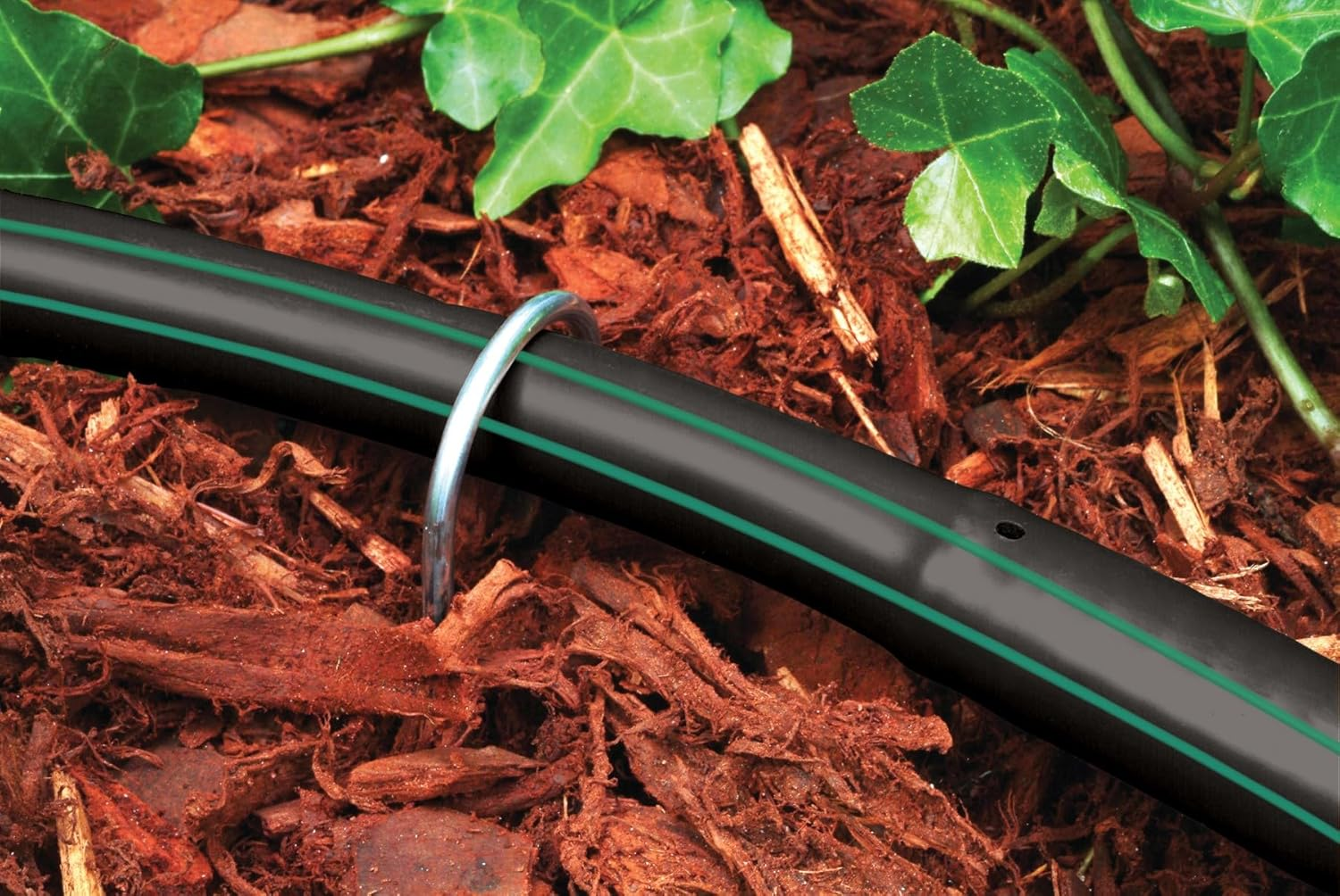 Rain Bird GS50/10PS Drip Irrigation 6" Galvanized Wire Stake for 1/2" Tubing, 10-Pack,Silver image number 1