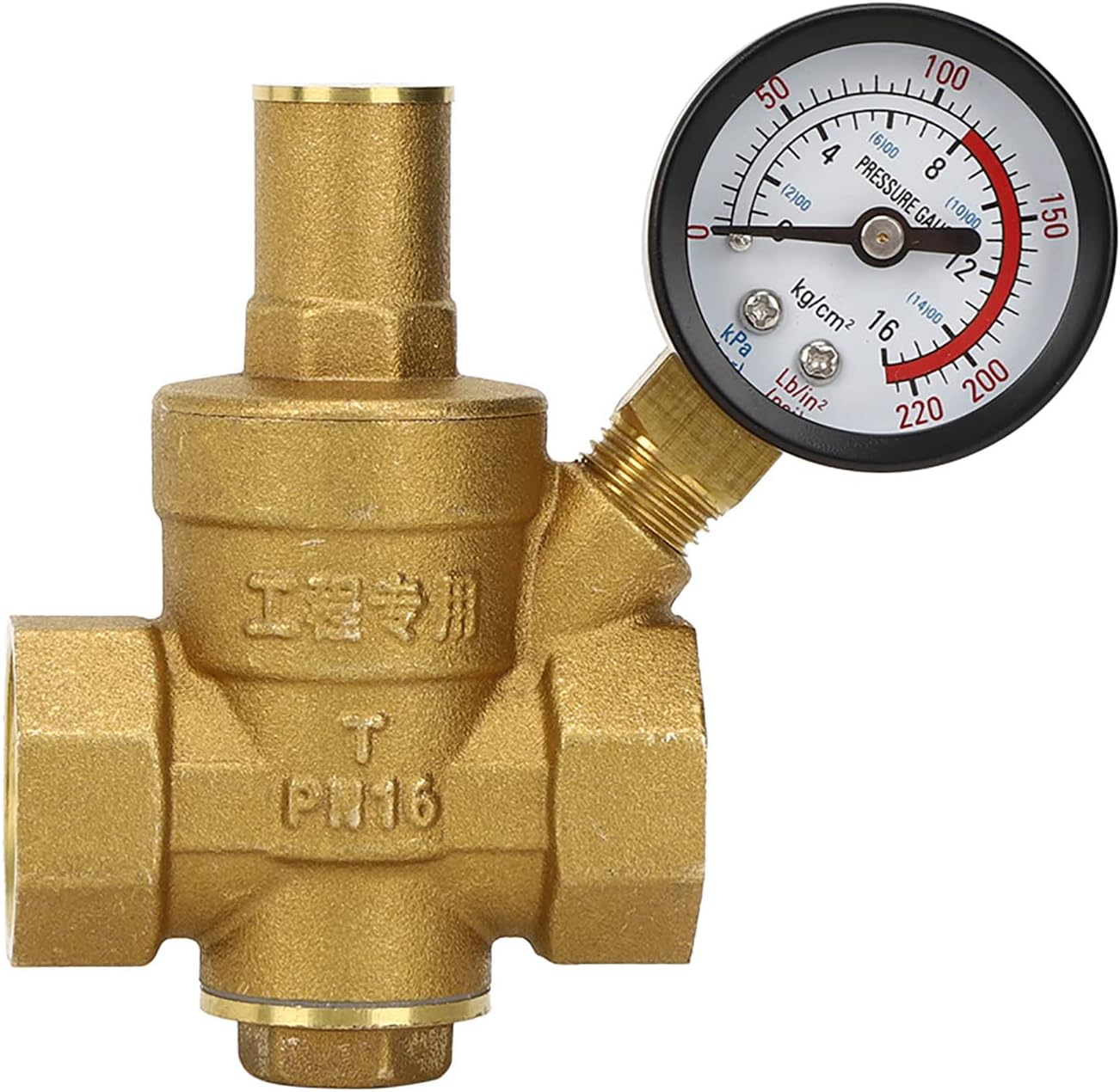 DN20 Brass Water Pressure Reducer with Measurement Device to Install Domestic Water Equipment