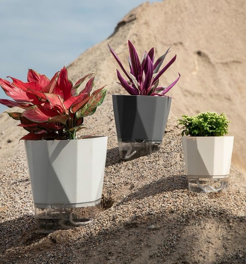 3-Pack Self Watering Planter Pots, 6.7 Inch Plastic Planters with Drainage Holes, Cotton Rope and Trays, Decorative Flower Pots for Indoor Outdoor Garden Plants (Multicolor) image number 3