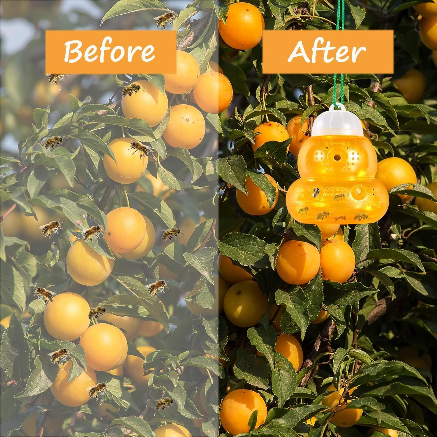 2 Pack Plastic Wasp Traps, Hanging Hornet Trap for Outdoors, Bee Trap Yellow Jacket Wasps Repellent, No Bottom Seam, Safe, Natural, Effective and Reusable image number 5