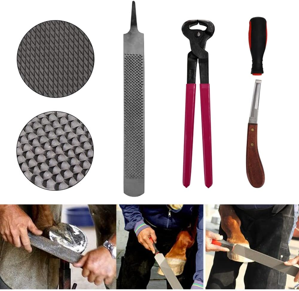 Horse Hoof Nipper, Eacam 4PCS Horse Farrier Hoof Nipper Trim Shoeing File Rasp Handle Hoof Cutter Tool Horse Care Accessory image number 3