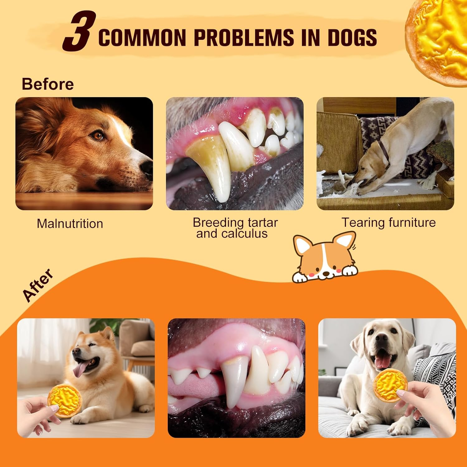 Cheese Chicken Slices with Fresh Meat Triple Flavor Chips 240G for Teeth Grinding, Training Rewards & Healthy Snacking, Cheese & Chicken Waffle Dog Treats for Puppies & Dogs - Fun Shaped image number 6