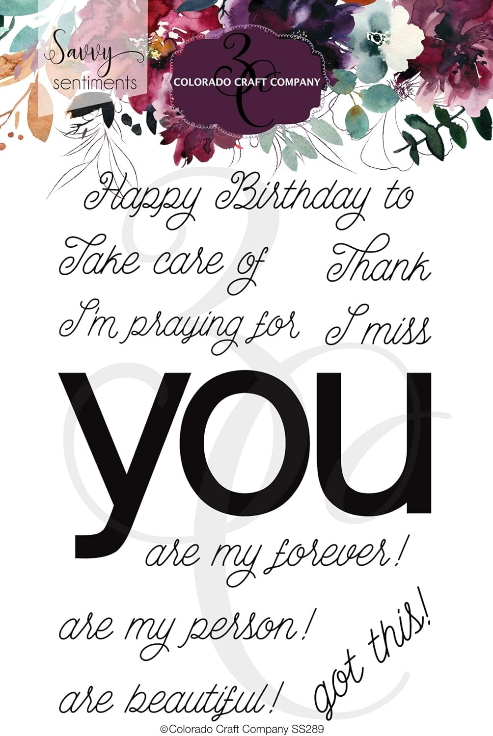 COLORADO CRAFT COMPANY SS289 Colorado Clear Stamp, Us:One Size, You Greetings-Savvy Sentiments image number 1