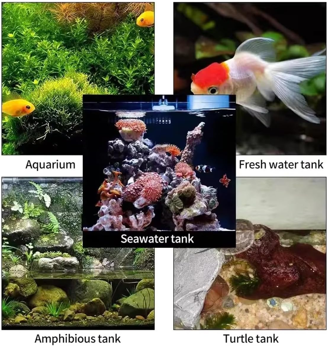 AIMALL 304SS Aquarium Stainless Steel Algae Scraper Blade Fish Tank Glass Cleaner, Silver, Extendable Handle, Corner Cleaning Design, Includes 10 Replacement Blades image number 2