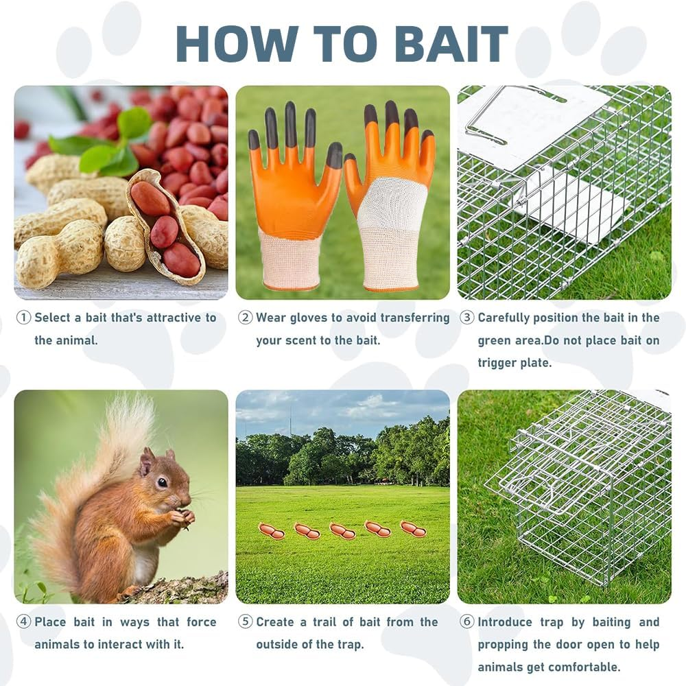 Possum Trap 66 X 23 X 26Cm Humane Large Animal Live Traps for Cats, Squirrels, Skunks, Groundhogs, Rabbits, Possums, Catch and Release Design Heavy Duty Folding Cage for Possum Stray Cat Fox Opossum image number 3