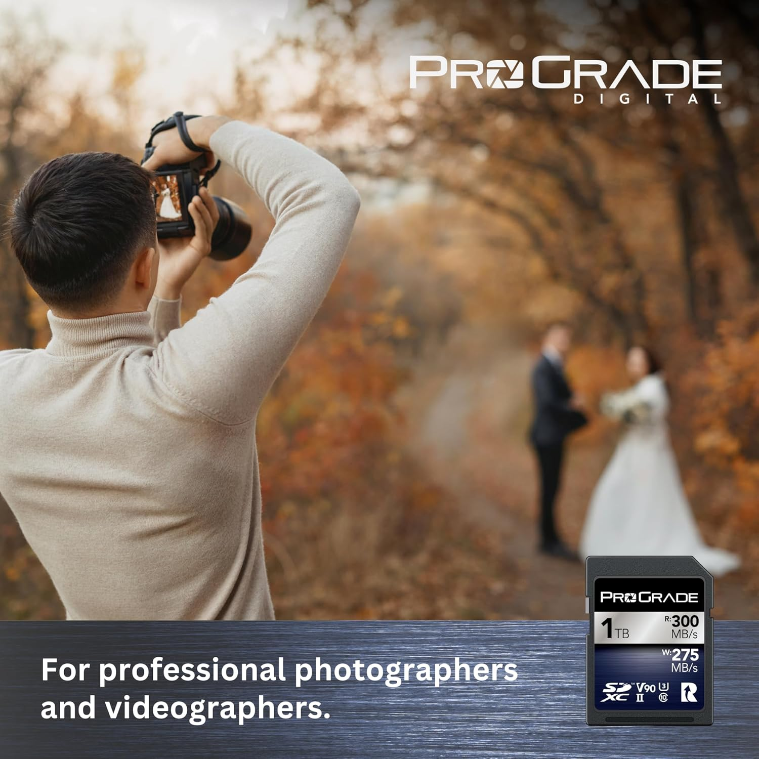 Prograde Digital SDXC UHS-II V90 Iridium Memory Card (1TB)