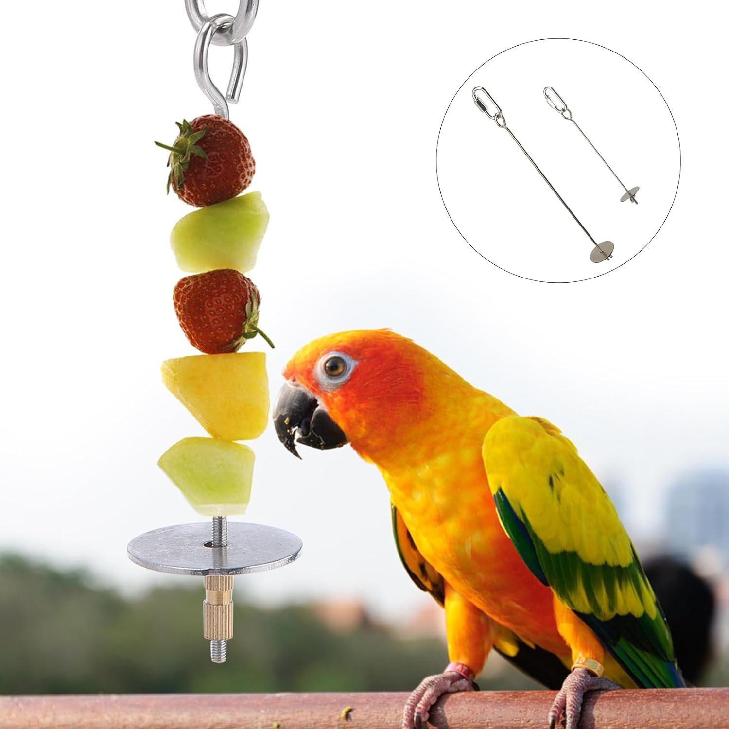 Cockatiel, Budgie, Budgie, Budgie Accessories, Bird Cage Accessories, Cockatiel Accessories image number 4