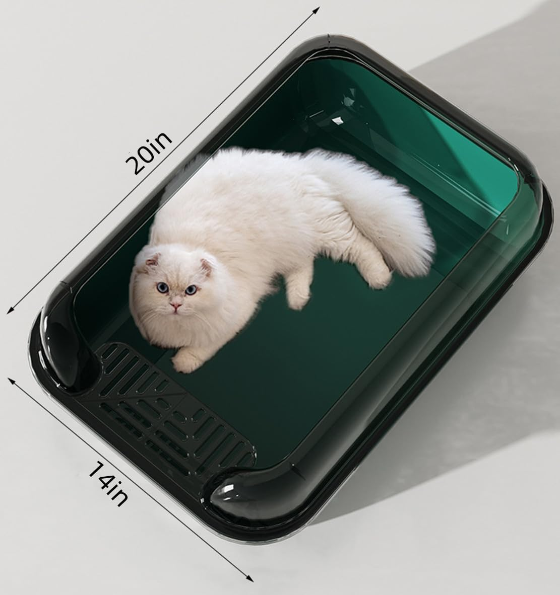 Deep Pan Large Cat Litter Box, Deep Pan Litter Pan, Spacious Size for Large Cats, Washable, BPA Free, 20 * 14In（Free Scoop） (Green) - Blue image number 5