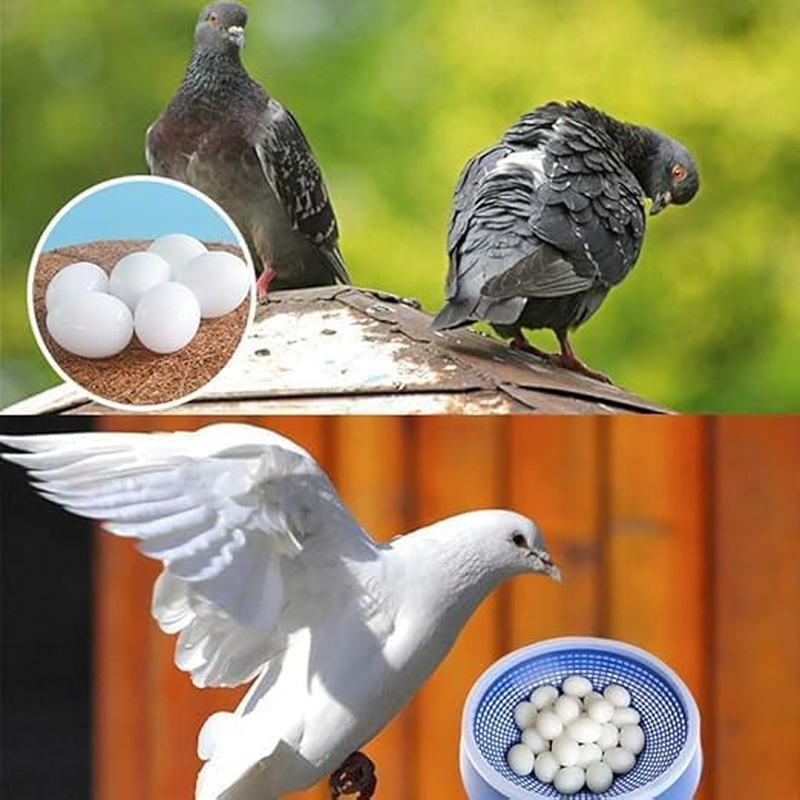 10Pcs Solid Parrot Plastic Fake Eggs Realistic Simulated Fake Bird Eggs for Hatching Mini Macaw Cockatoo African Grey Eclectus Trick Birds to Stop Laying Eggs image number 4