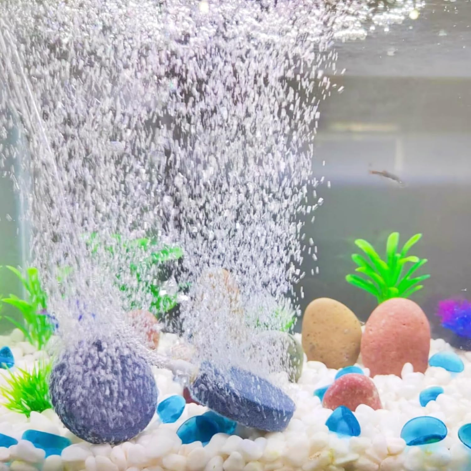 AQUANEAT 1.5 Inch Air Stone Disc, 4 Packs, Aerator Bubble Diffuser, Air Pump Accessories for Hydroponics, Aquarium Fish Tank, Ponds, DWC Reservoirs and Circulation System image number 6