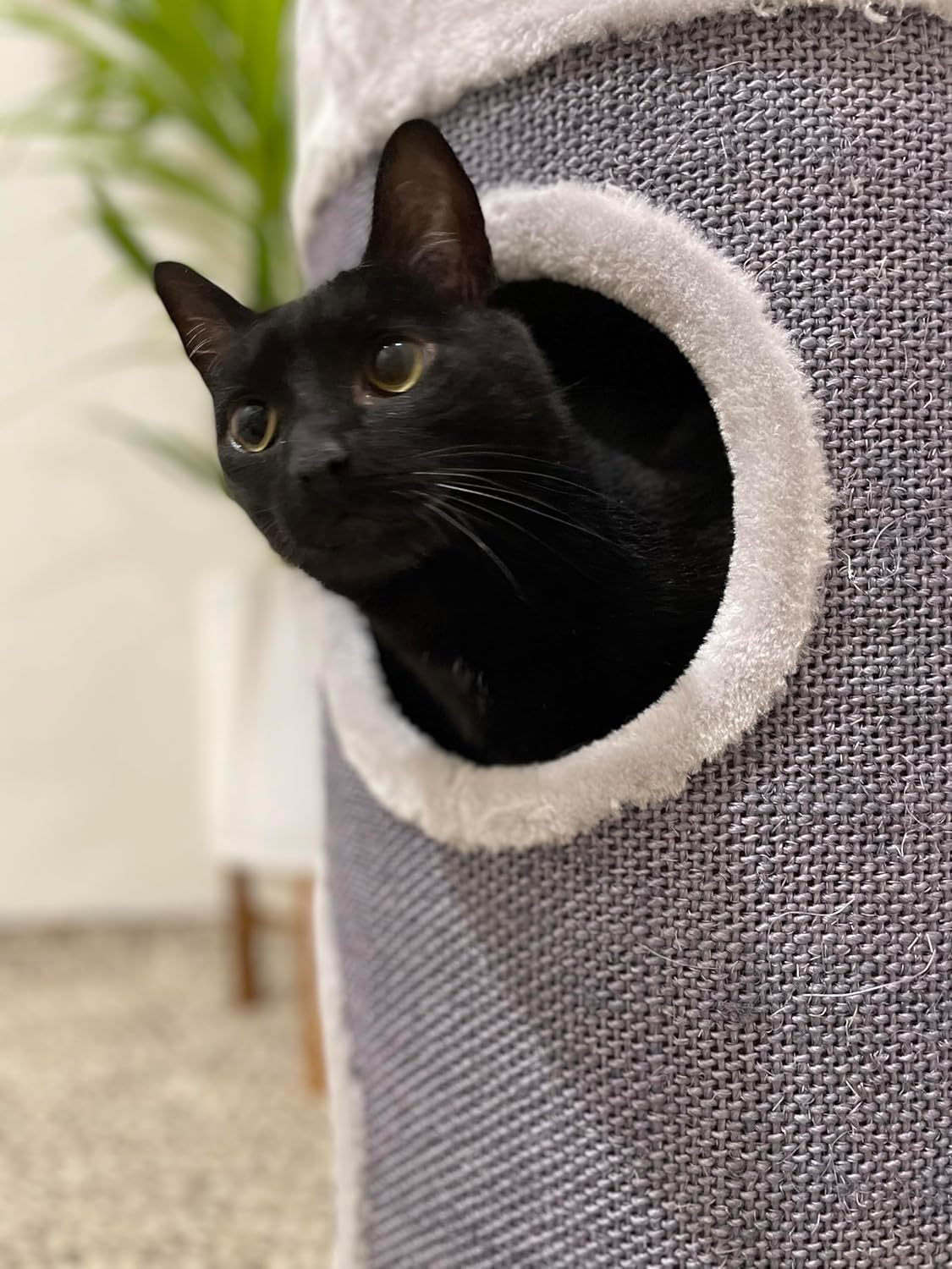 Cat Scratch Hideaway Mini Drum Grey, 65Cm Height - Cat House, Soft Plush Material, Ventilated image number 3
