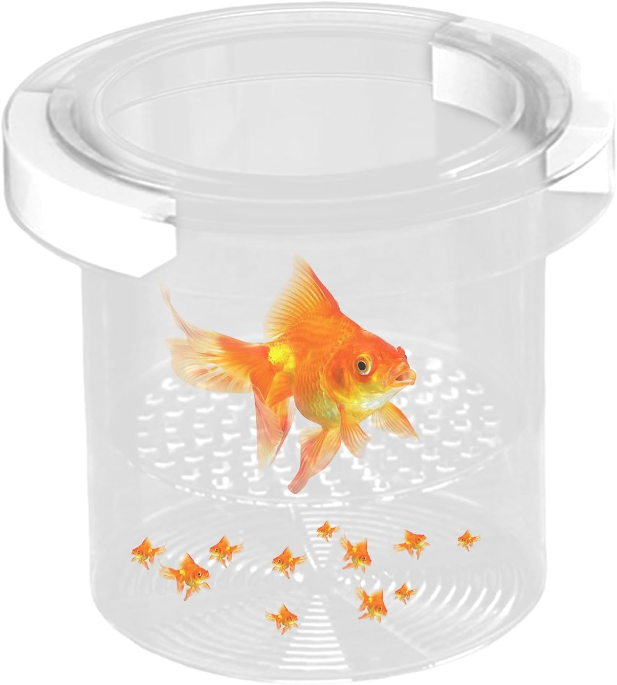 Isolation Box for Fish Tank | Mesh Breeding Box for Fish Tank,Floating Divider Container Hatchery Incubator for Shrimp Guppy Egg Angelfish Fry Acclimation