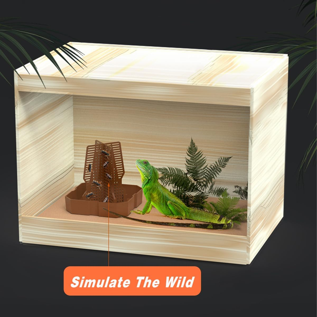 AIMALL Reptile Feeding Basin, Anti-Escape Design, Horned Frog and Dubia Cricket Compatible, Available in Two Sizes and Colours