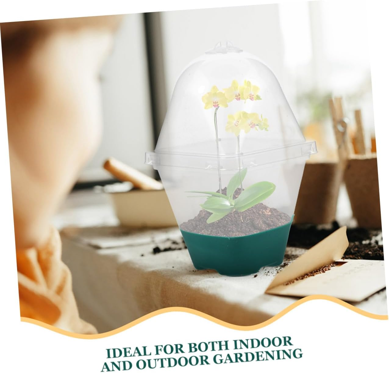 SUPVOX 6Pcs Seedling Tray Humidity Dome Small Reusable Plant Pots for Indoor Gardening Supplies Starter Pots for Plants image number 6