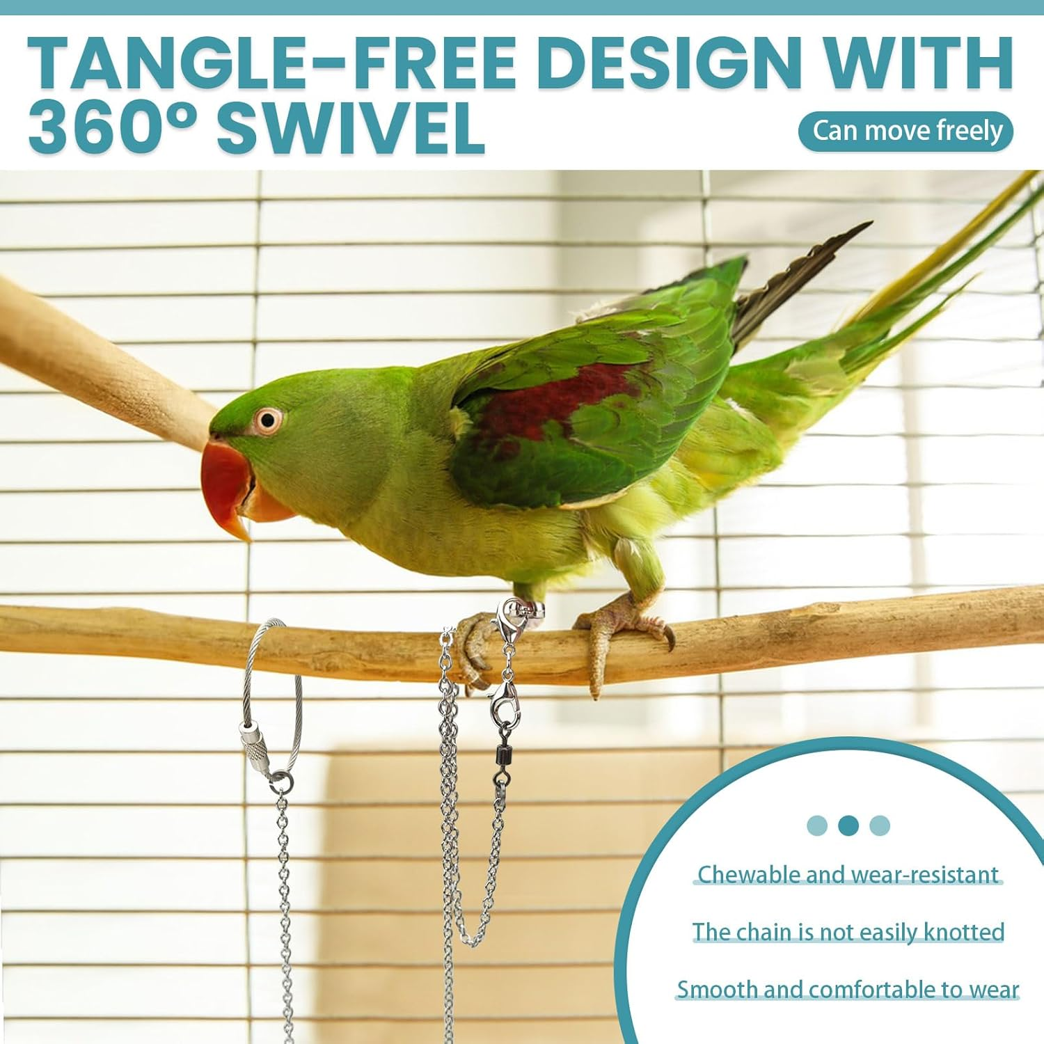 LELE LIFE 2 Pack 1M Bird Leash with 5 Sizes Ankle Rings, Stainless Steel Anti-Bite Parrot Bird Harness Flying Training Chain Leg Rope Outdoor Parrot Alloy Foot Ring image number 5