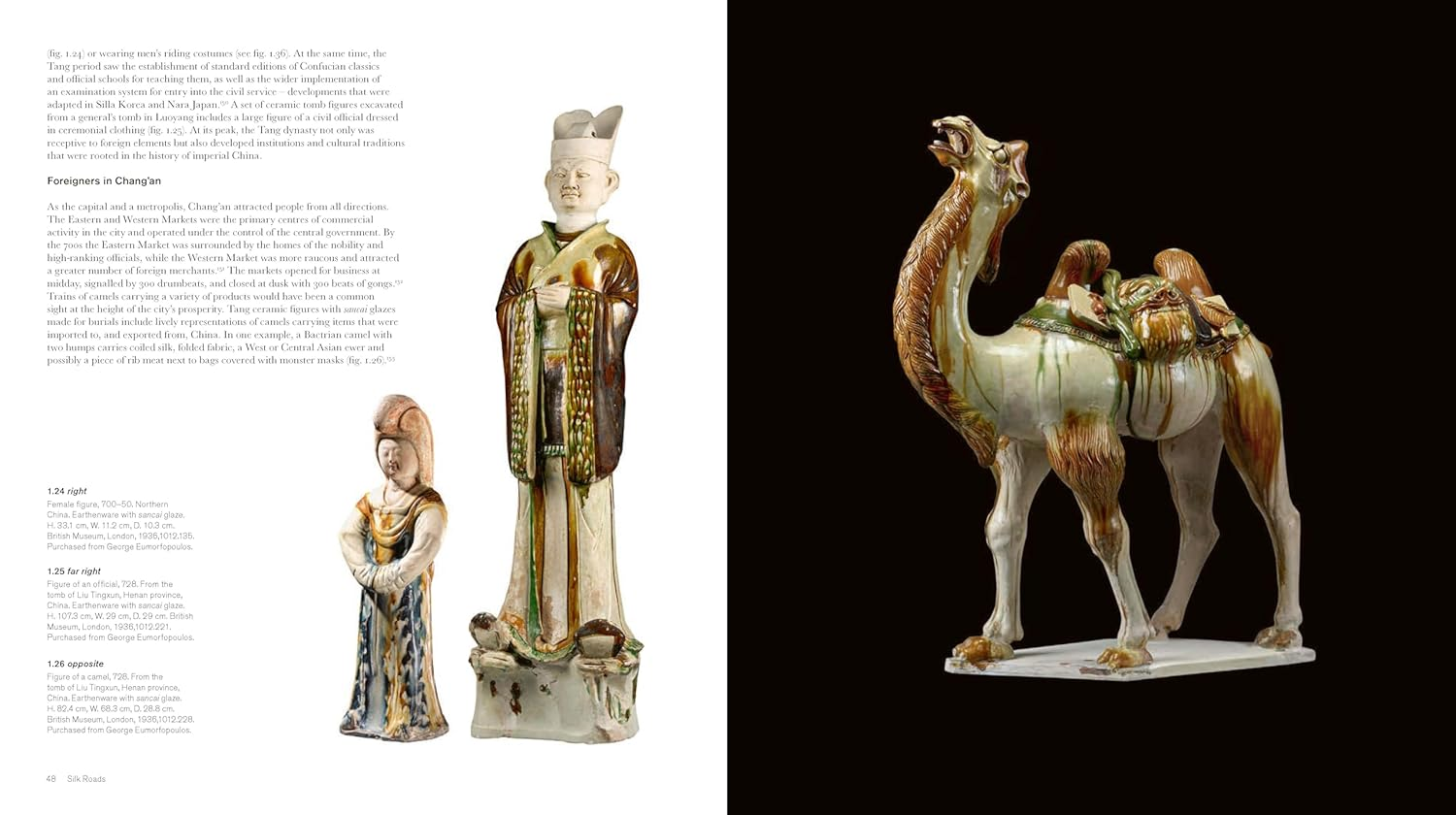 Silk Roads image number 5