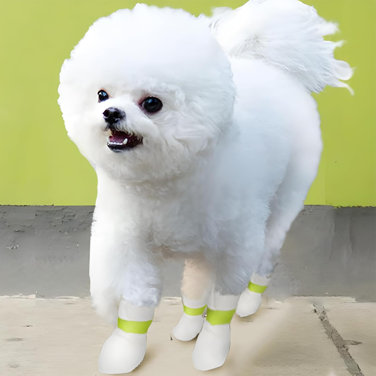 INCAUCA 20 Piece Disposable Dog Booties for Large Dogs, Waterproof Disposable Dog Shoes with Adhesive Bandage, Dog Foot Covers Socks, Paw Protector for Pet Doggy Puppy inside outside Walking, L