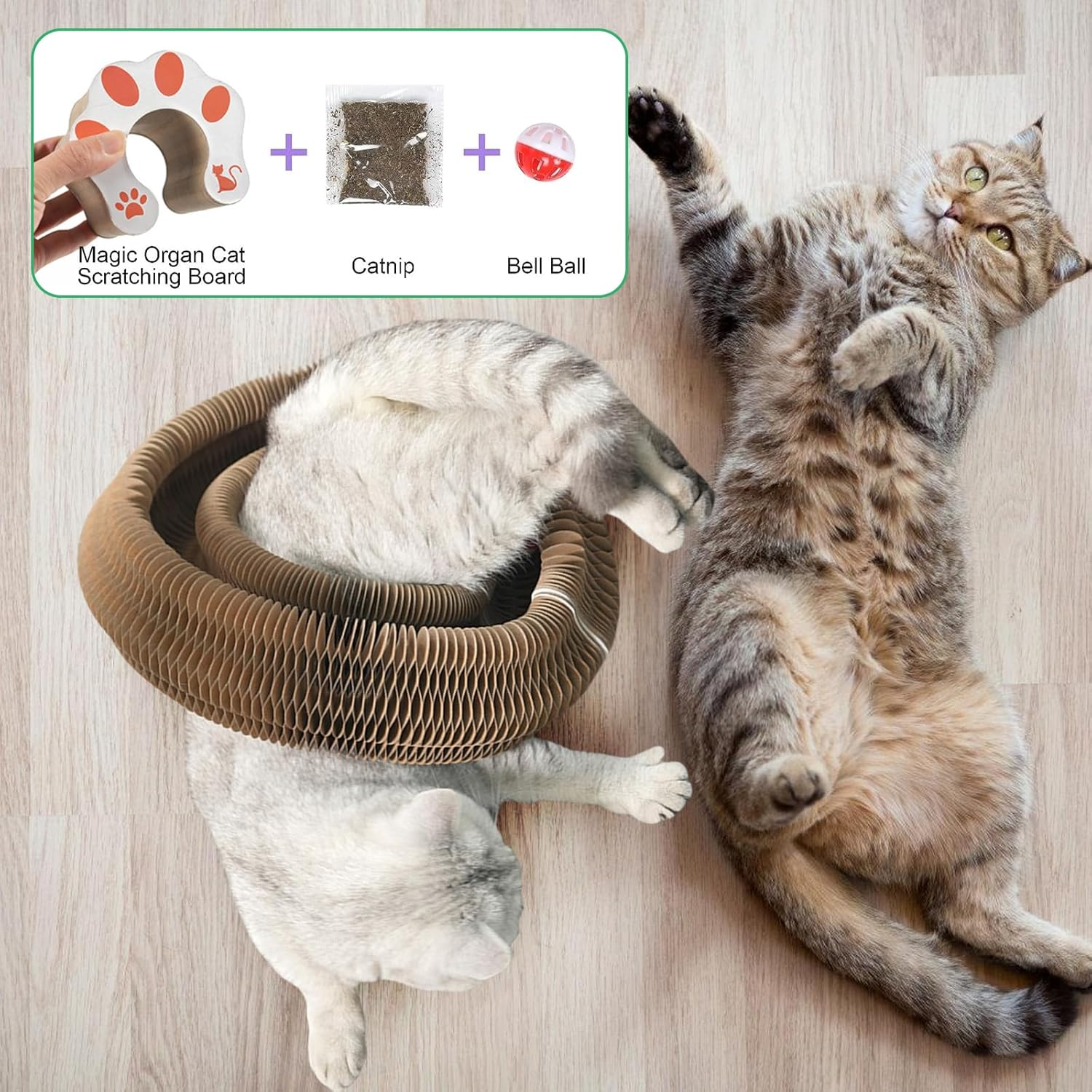 Vegena Cat Scratching Board - Pack of 2, Magic Organ Cat Scratching Board with Bell, Cat Toy round Bed, Scratching Toy for Cats image number 3