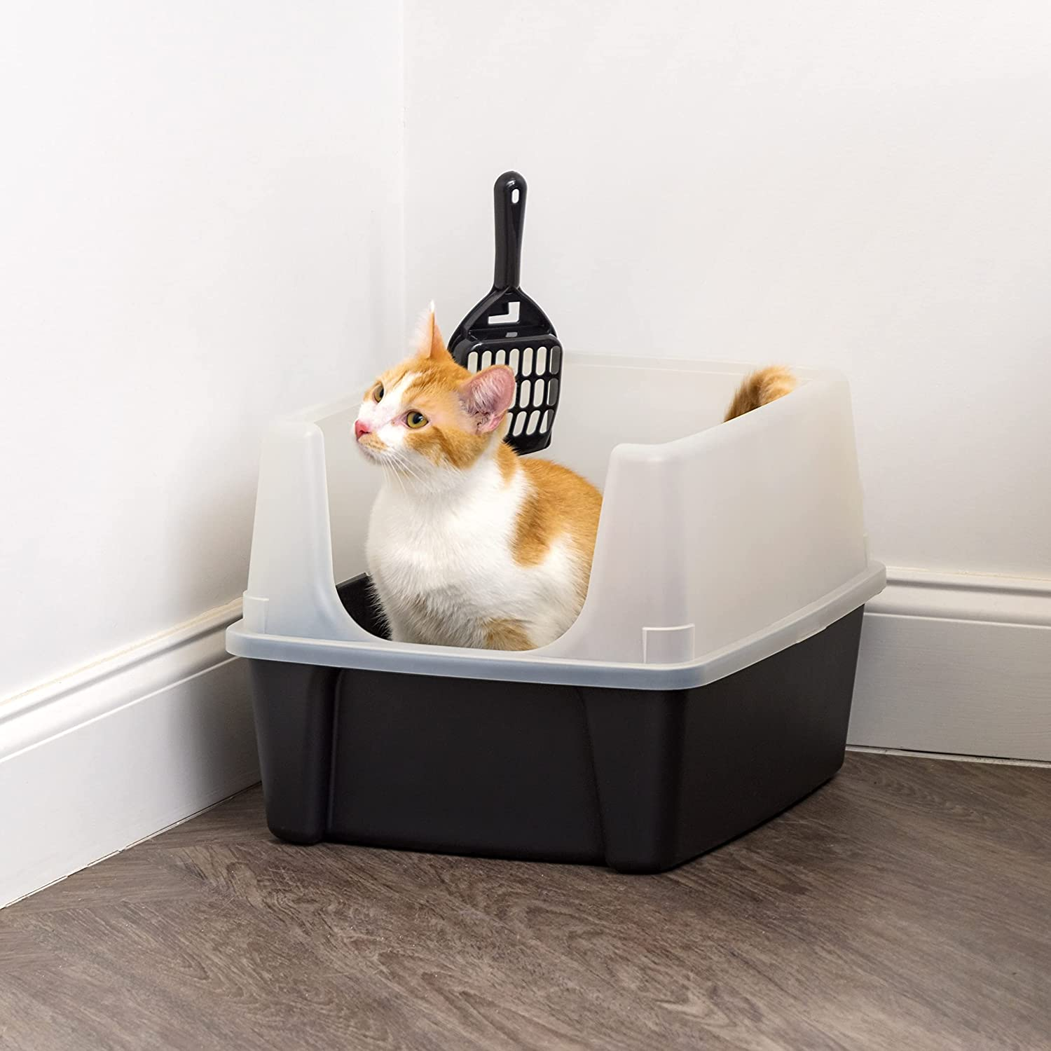 IRIS USA Large Open Top Cat Litter Tray with Scoop and Scatter Shield, Sturdy Easy to Clean Open Air Kitty Litter Pan with Tall Spray and Scatter Shield, Black image number 3