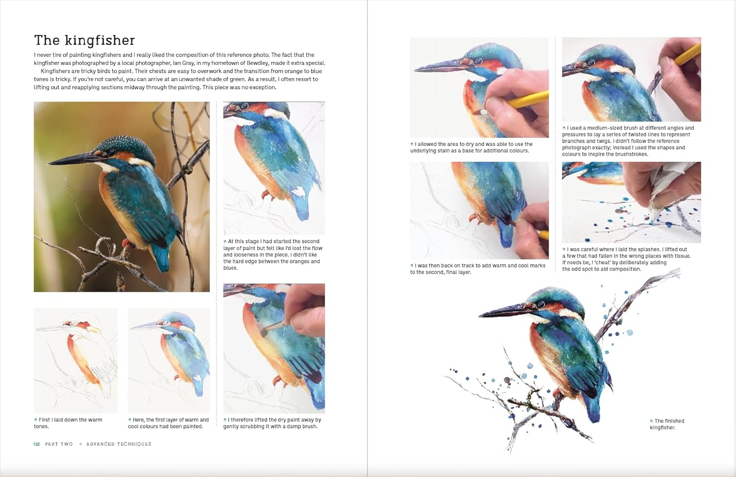 Painting Birds: Expressive Watercolour Techniques image number 2