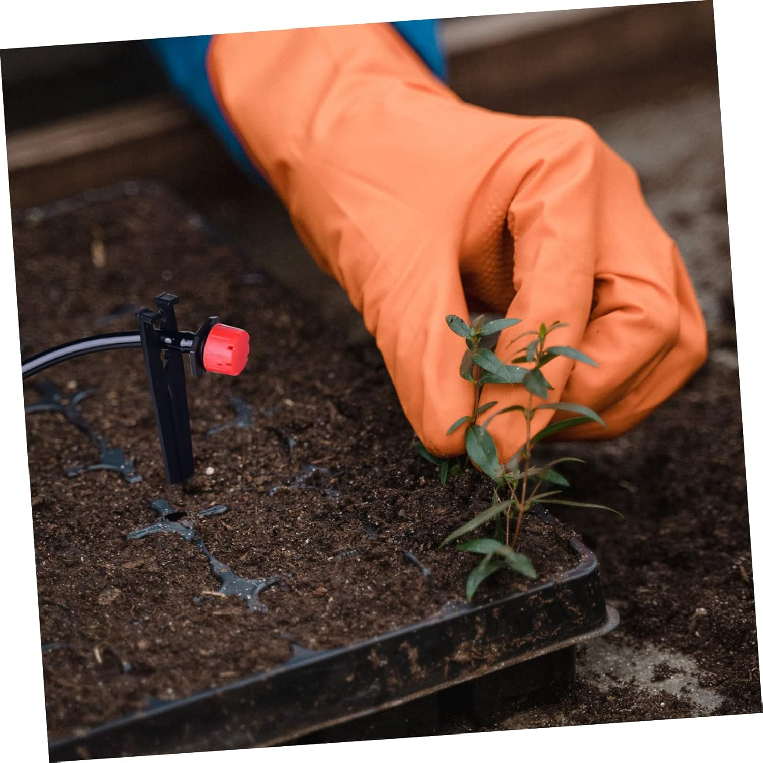 KONTONTY 100Pcs Gardening Drip Irrigation Supplies Plastic Ground Spikes Fixing Ground Stakes for Plant Supports image number 4