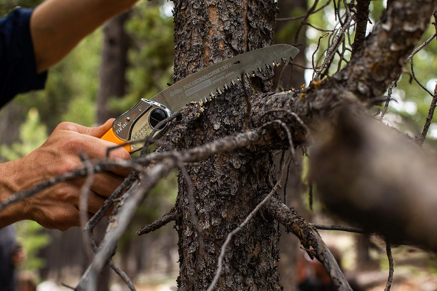 Silky Professional Series Pocketboy Curved Blade Folding Saw 130Mm Large Teeth image number 2