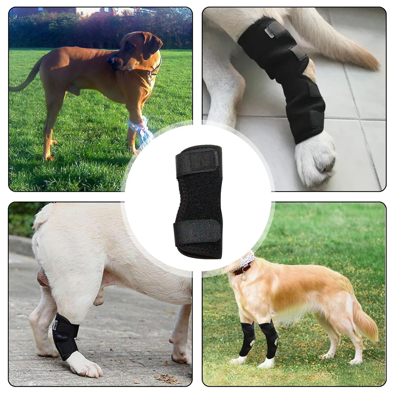 Leg Braces for Dogs - Soft Fabric Leg Wrap, Pet Knee Brace | Medium Fit Sleeve with anti Lick Design Feature, Canine Leg Support for Recovery Walking Stability and Muscle Relief image number 3