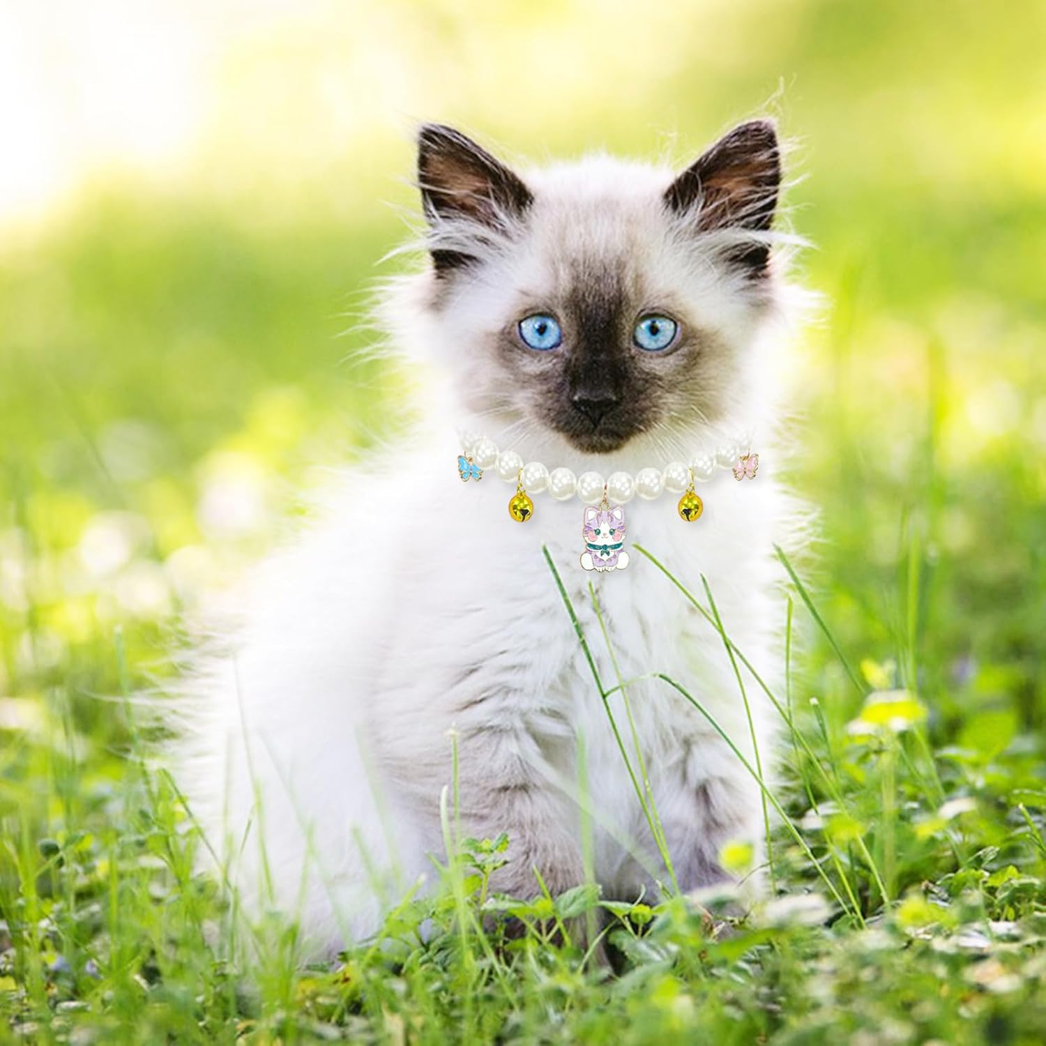 Yanmucy Cat Collar with Bell Pearl Pet Cats Dog Necklace Collar Accessories Necklace Jewellery for Kittens Small Pets Wedding Party Costume Outfits (Cat + Heart) image number 1