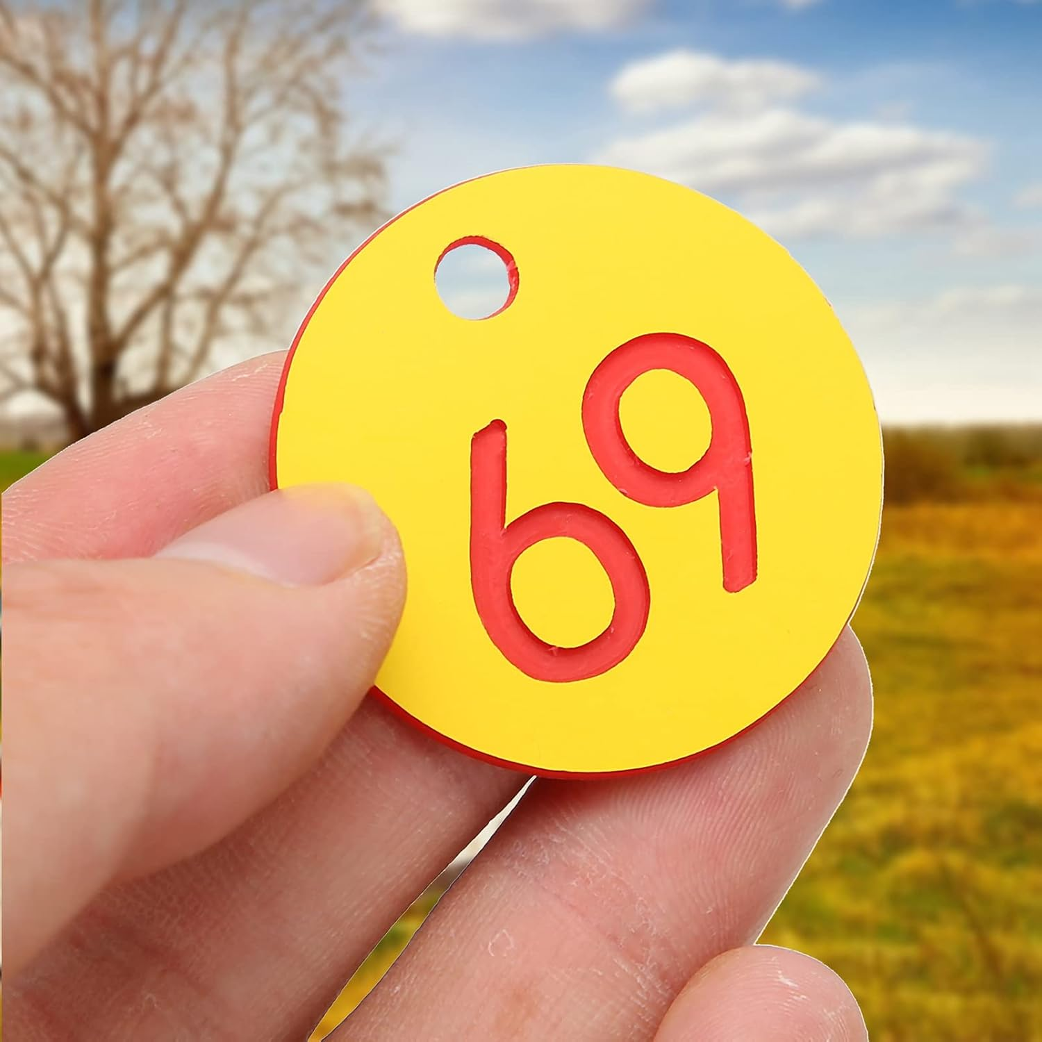 Fdit 50Pcs Beehive Marker Number Marker Perforated Number Beehive Mark with Hole Livestock Accessory Red+Yellow for Beekeeping