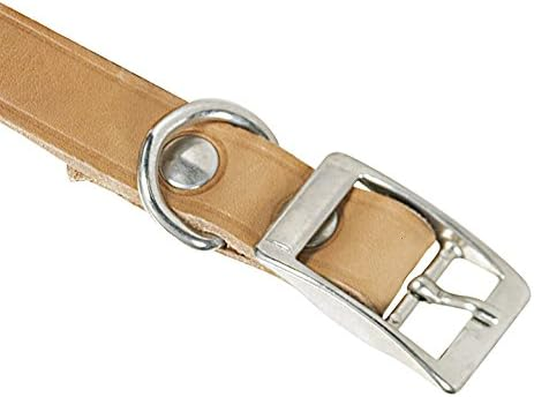ITAL DOG CHAPUIS SELLERIE SLA624 Dog Collar Natural Leather Width 40 Mm Length 70 Cm Size XL