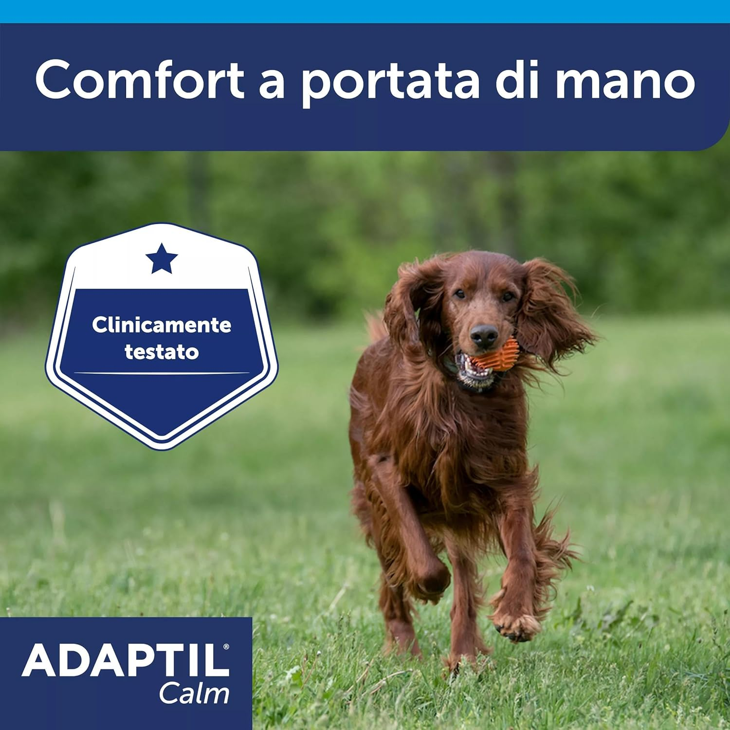 ADAPTIL Calm Calming Collar for Dogs, M/L, Medium and Large Dogs, Calming Pheromones, Stress Relief for Hyperactive, Anxious Dogs, Relaxation for Dogs, Travel and Stressful image number 2