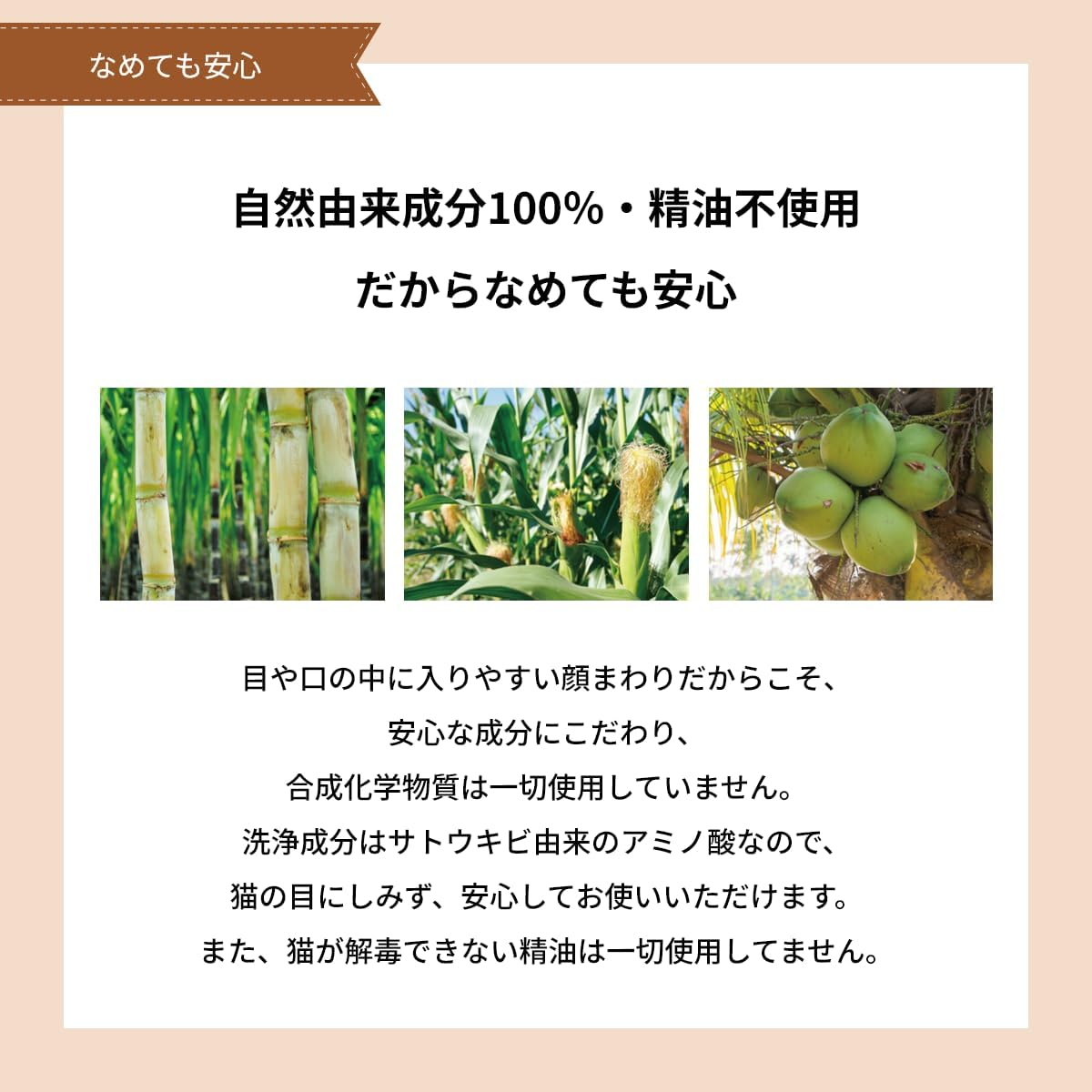 A.P.D.C. Facial Foaming Soap for Cats, Unscented, 1.7 Fl Oz (50 Ml), 100% Natural Ingredients, Dry Shampoo, Essential Oil-Free, Disinfectant, Deodorizing image number 3