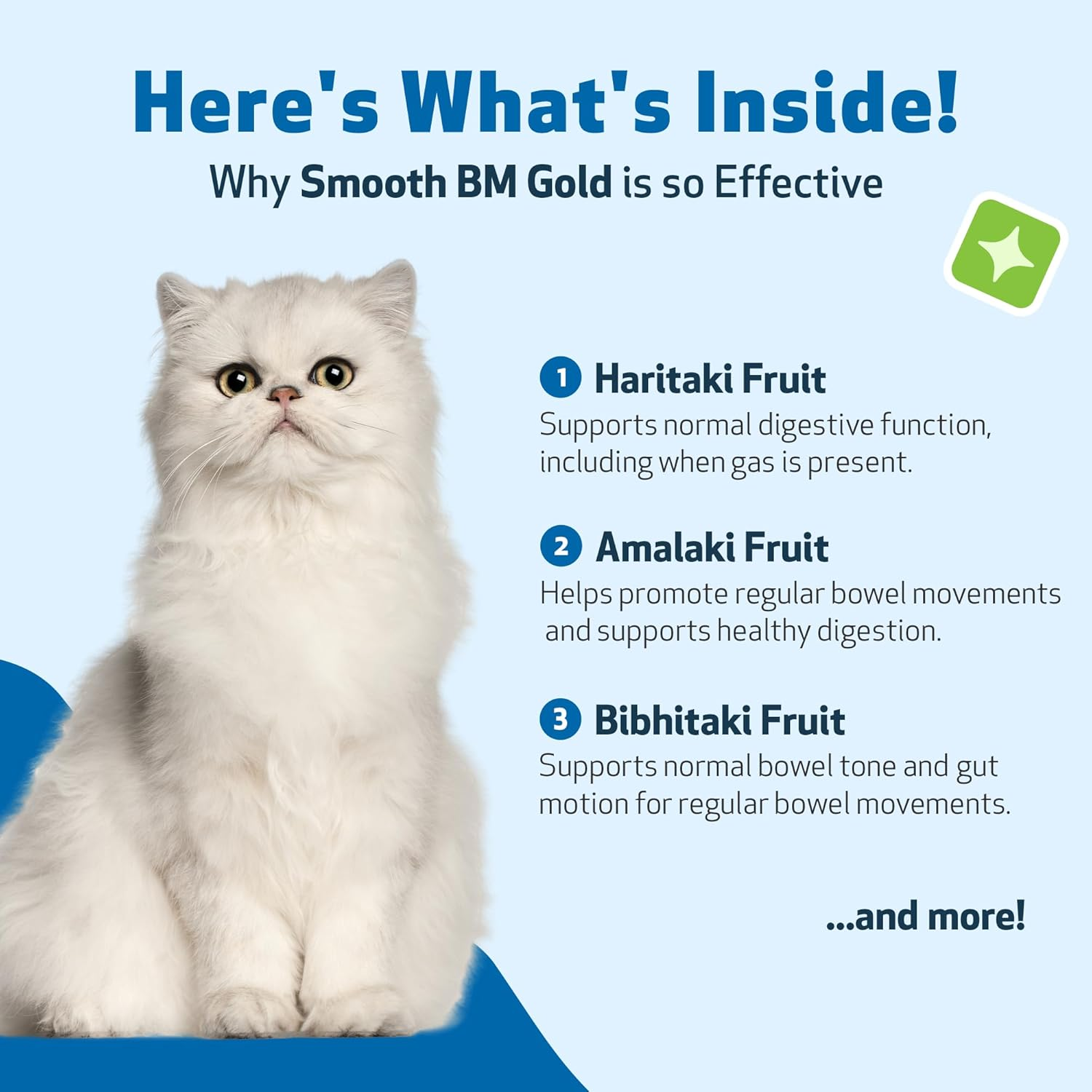 Pet Wellbeing Smooth BM Gold for Cats & Dogs - Supports Healthy Bowel Movements, Normal Consistency, Gastrointestinal Health, Triphala - Veterinarian-Formulated Herbal Supplement 4 Oz (118 Ml) image number 6